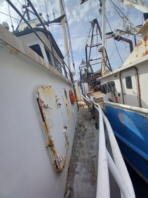 Resized_20220621_160406.jpeg