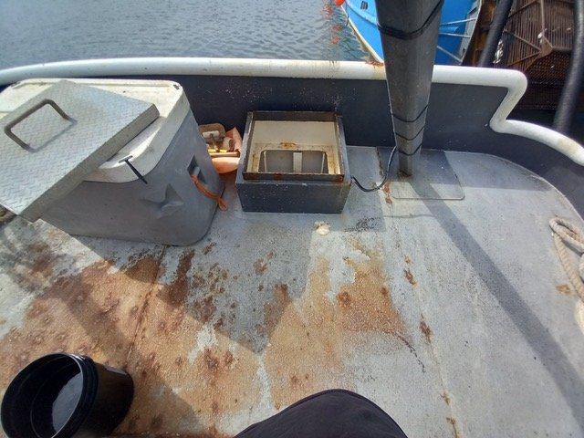 Resized_Resized_20220621_160741.jpeg