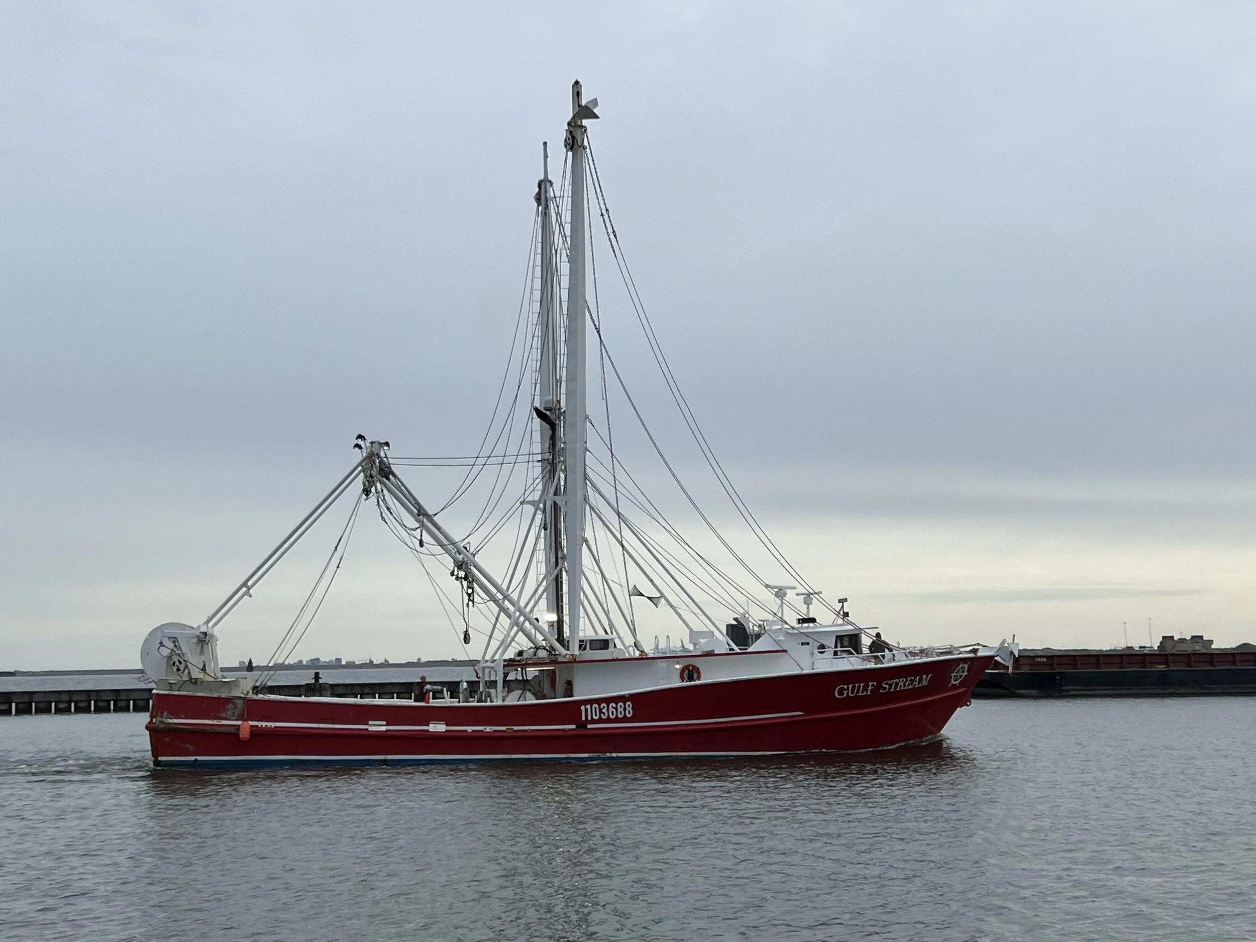 VIRGINIA QUEEN 24-0032  (115).JPG