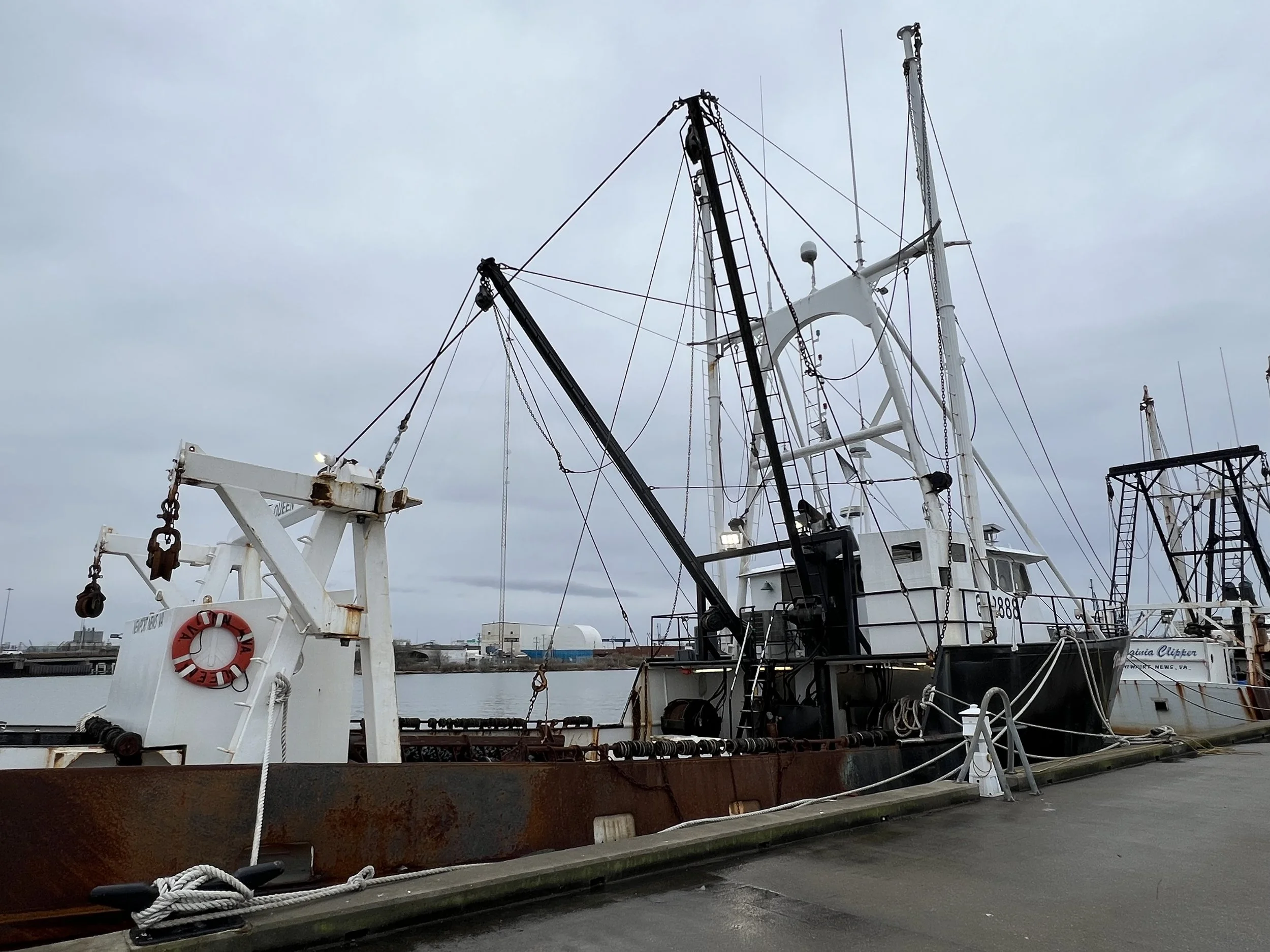 VIRGINIA QUEEN 24-0032  (111).JPG