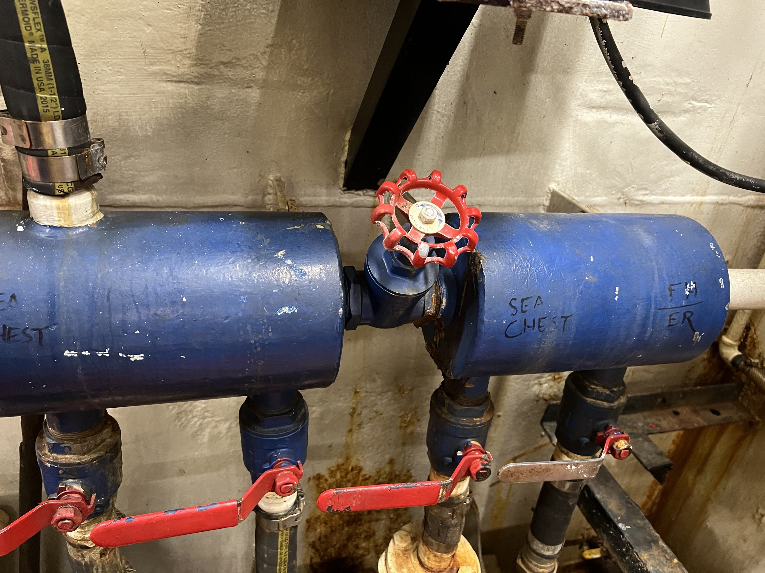 VIRGINIA QUEEN 24-0032  (109).JPG