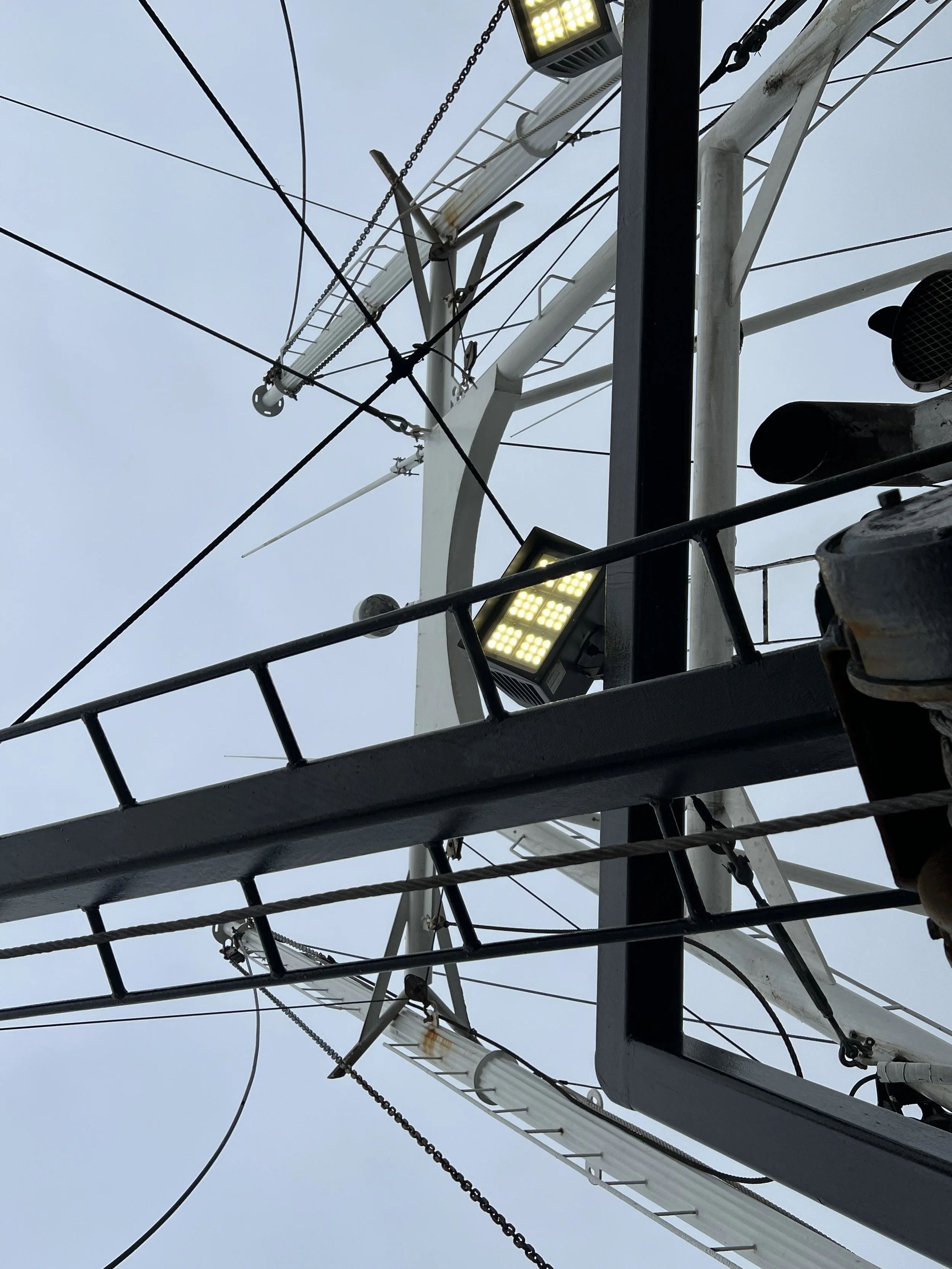 VIRGINIA QUEEN 24-0032  (105).JPG