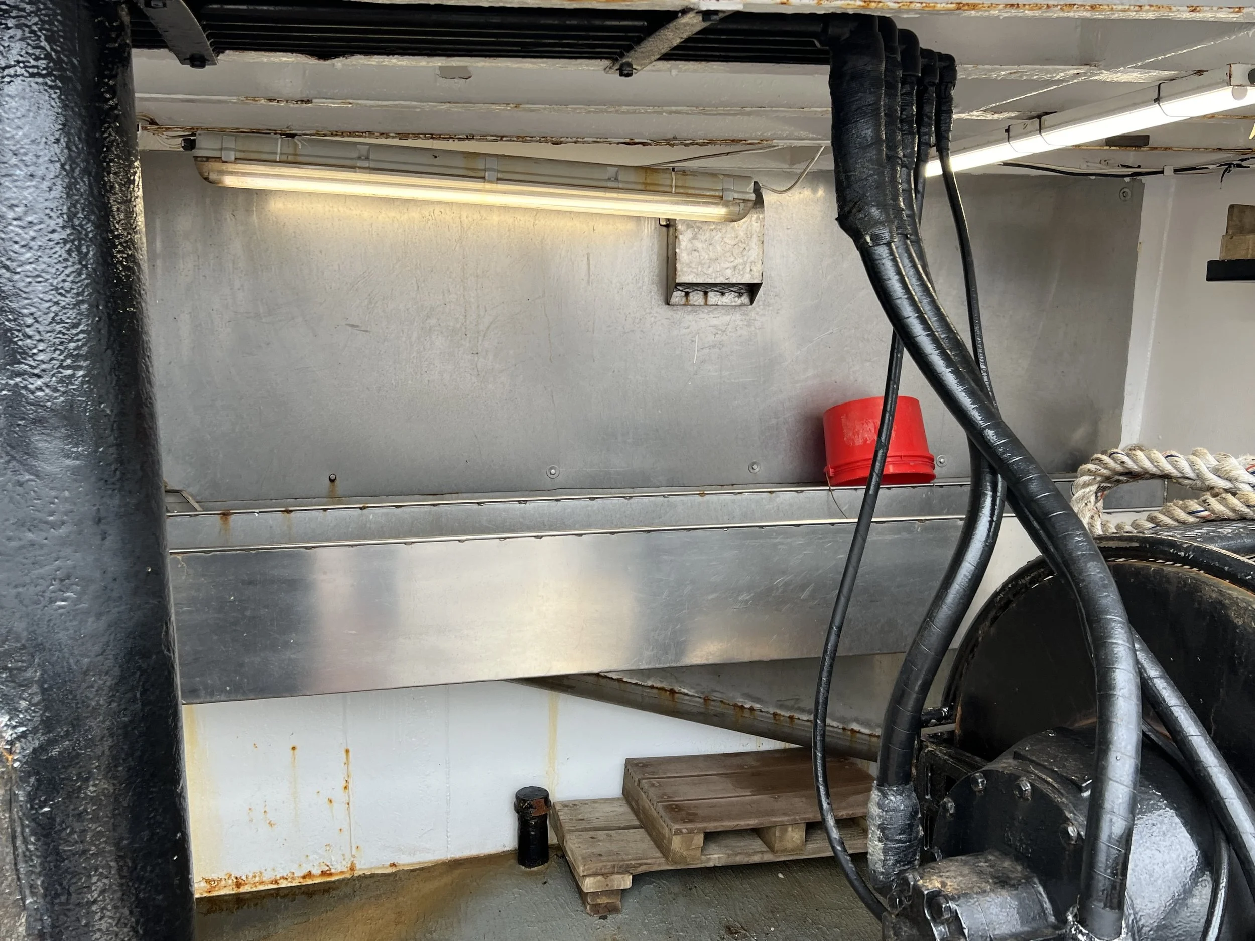 VIRGINIA QUEEN 24-0032  (104).JPG