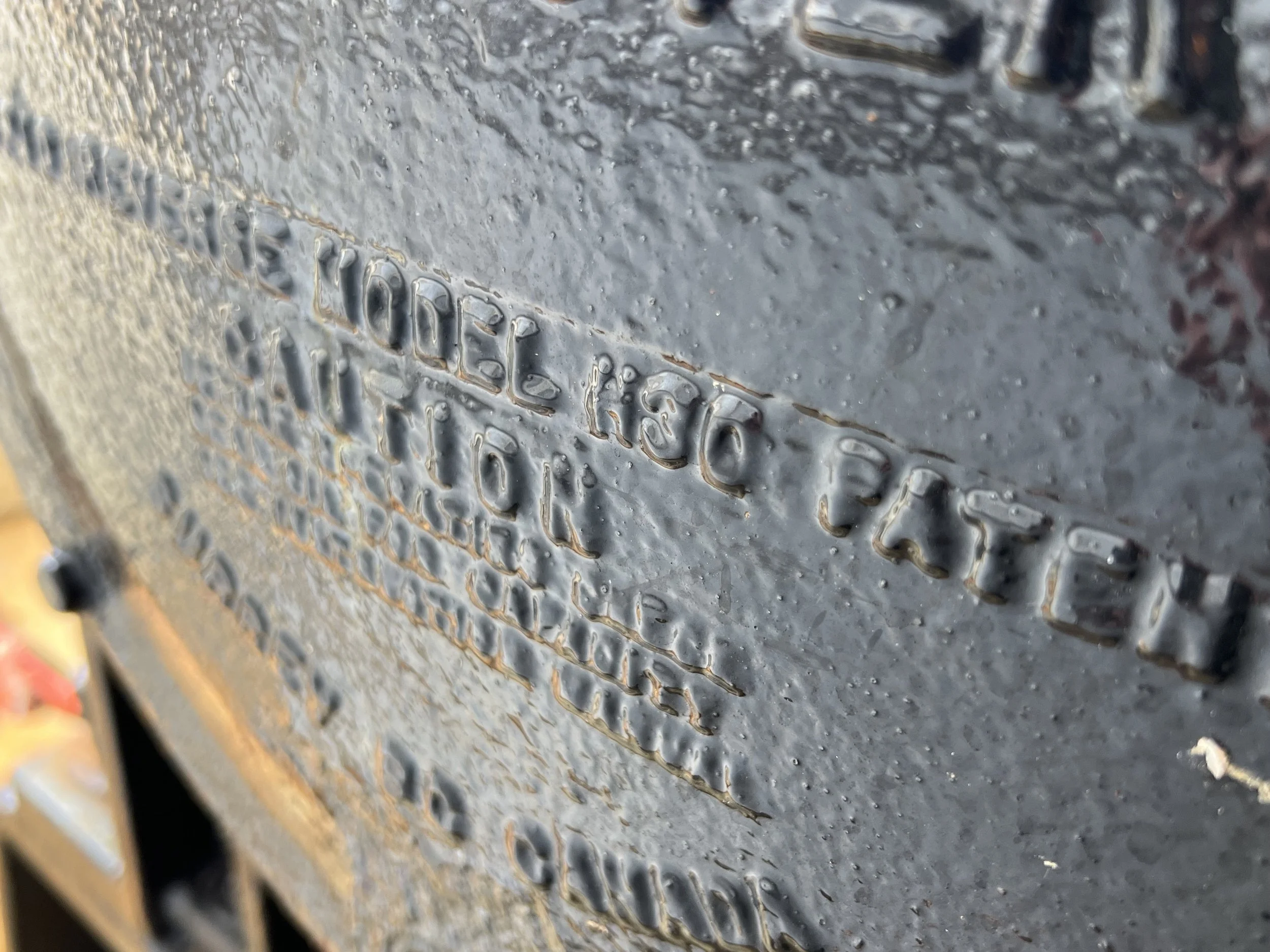 VIRGINIA QUEEN 24-0032  (103).JPG