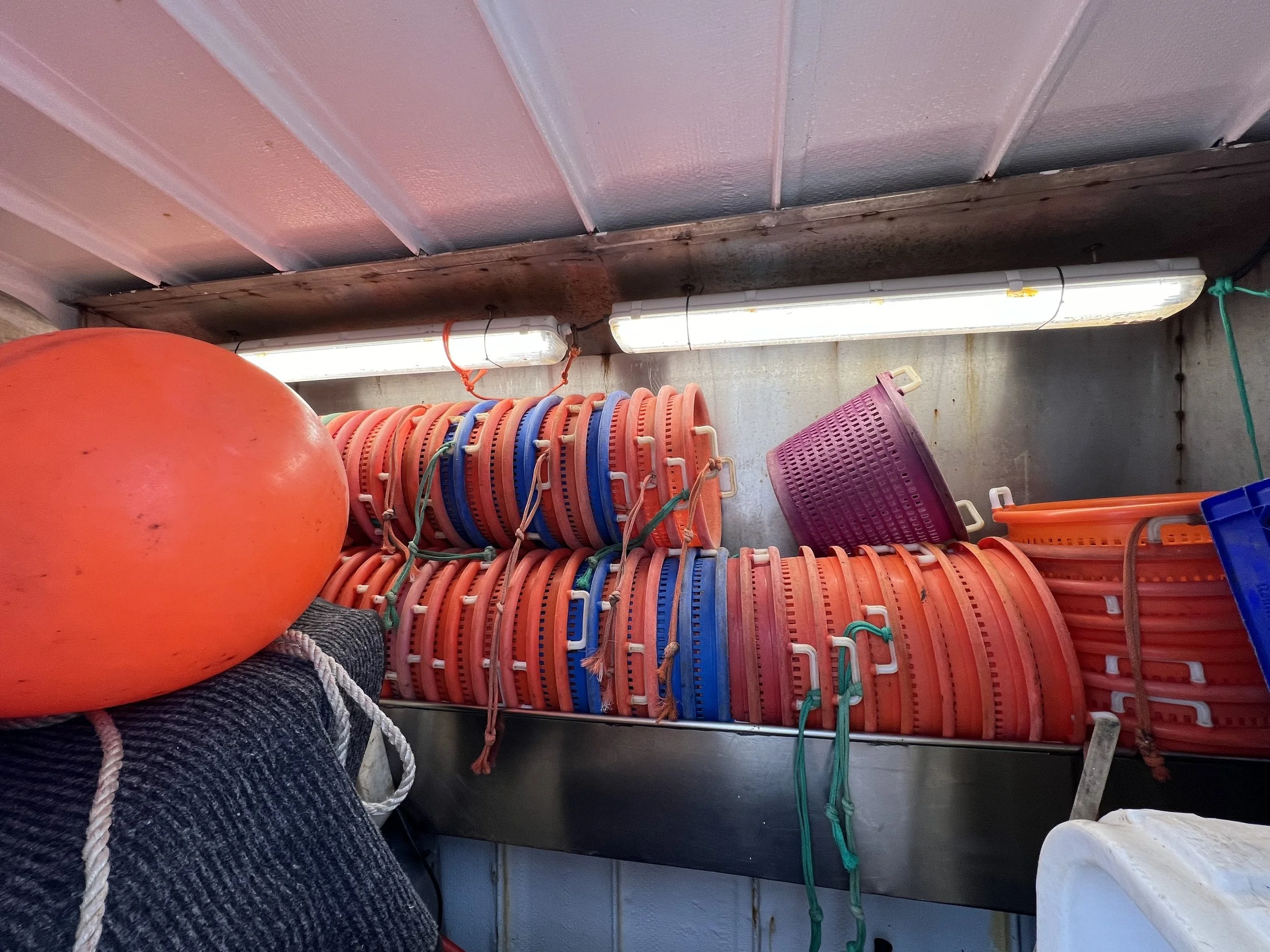 VIRGINIA QUEEN 24-0032  (100).JPG