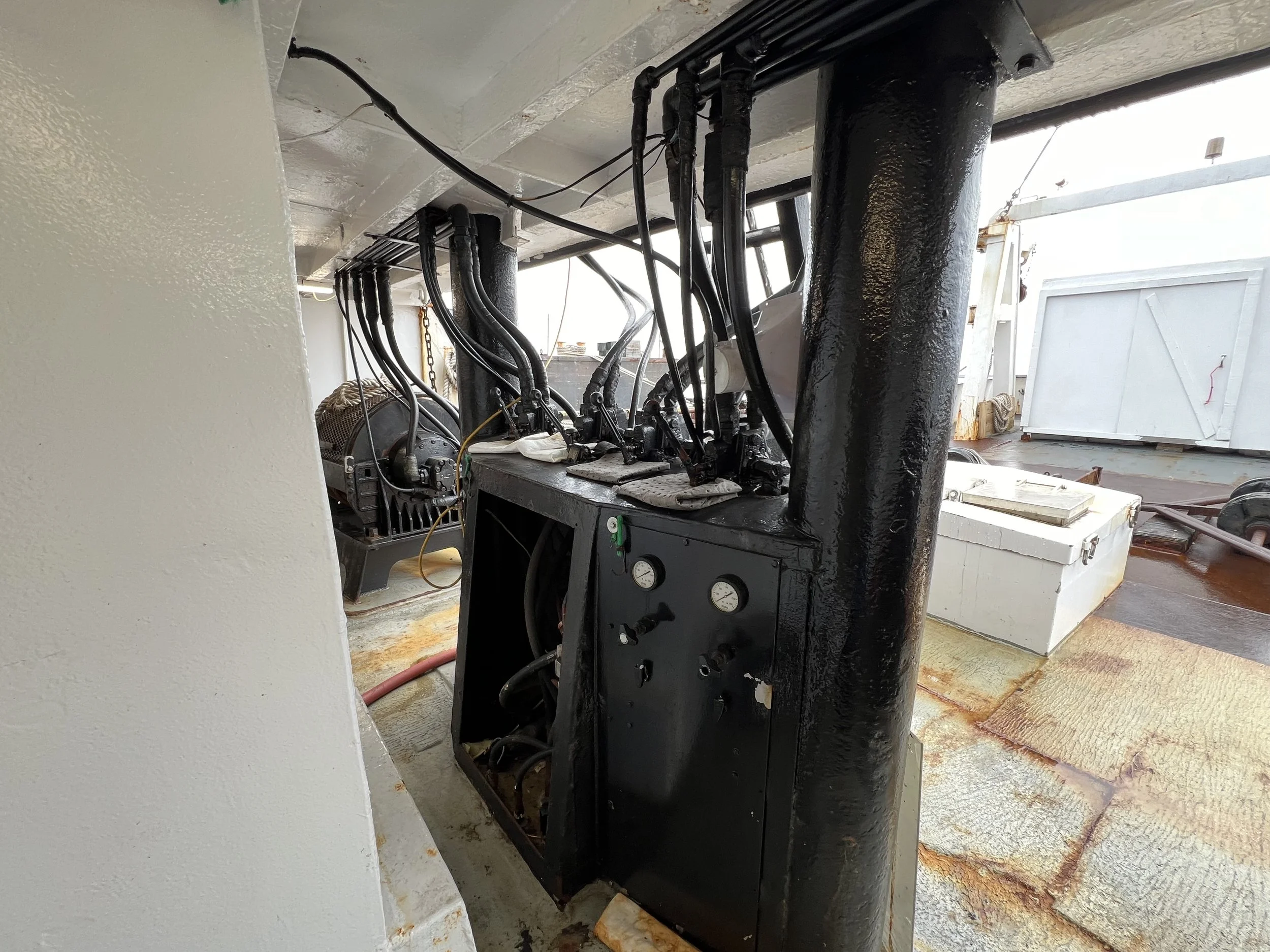 VIRGINIA QUEEN 24-0032  (101).JPG