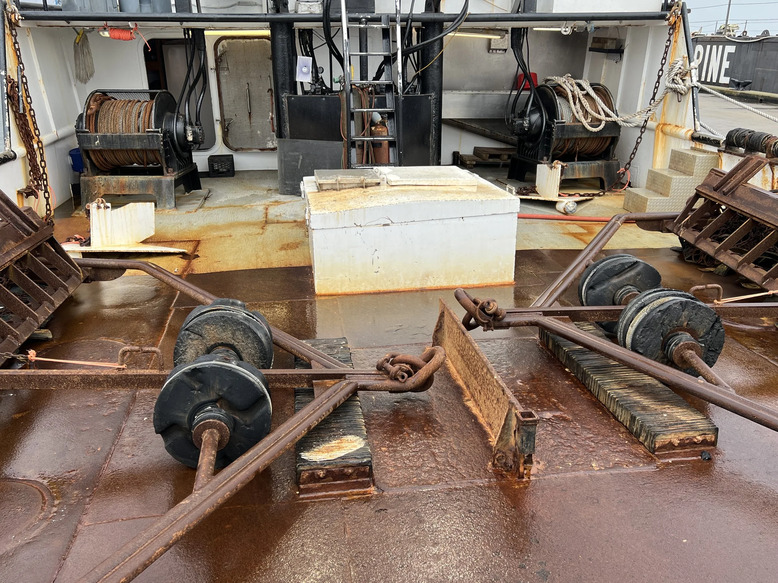 VIRGINIA QUEEN 24-0032  (99).JPG