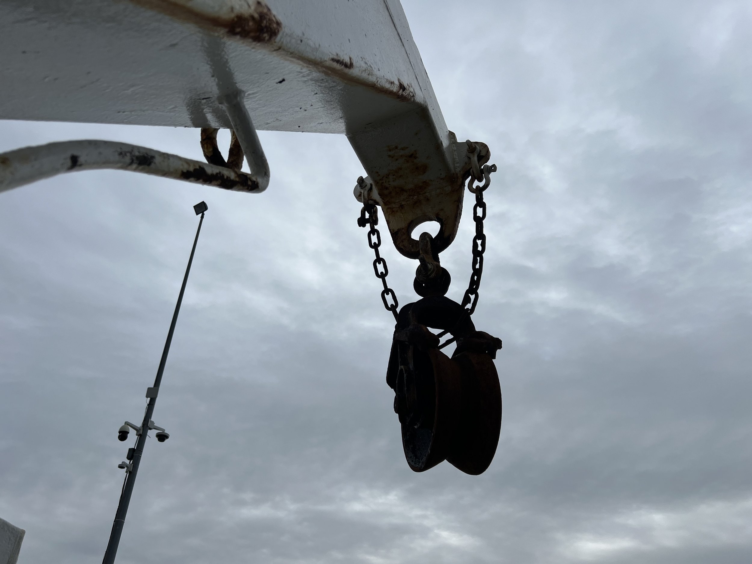 VIRGINIA QUEEN 24-0032  (97).JPG