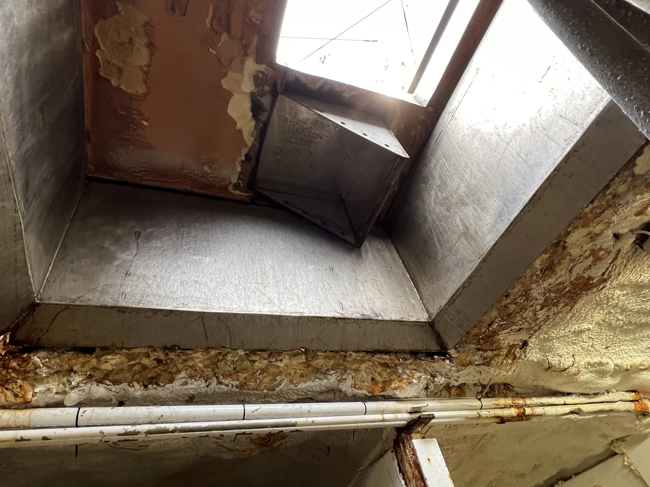 VIRGINIA QUEEN 24-0032  (94).JPG