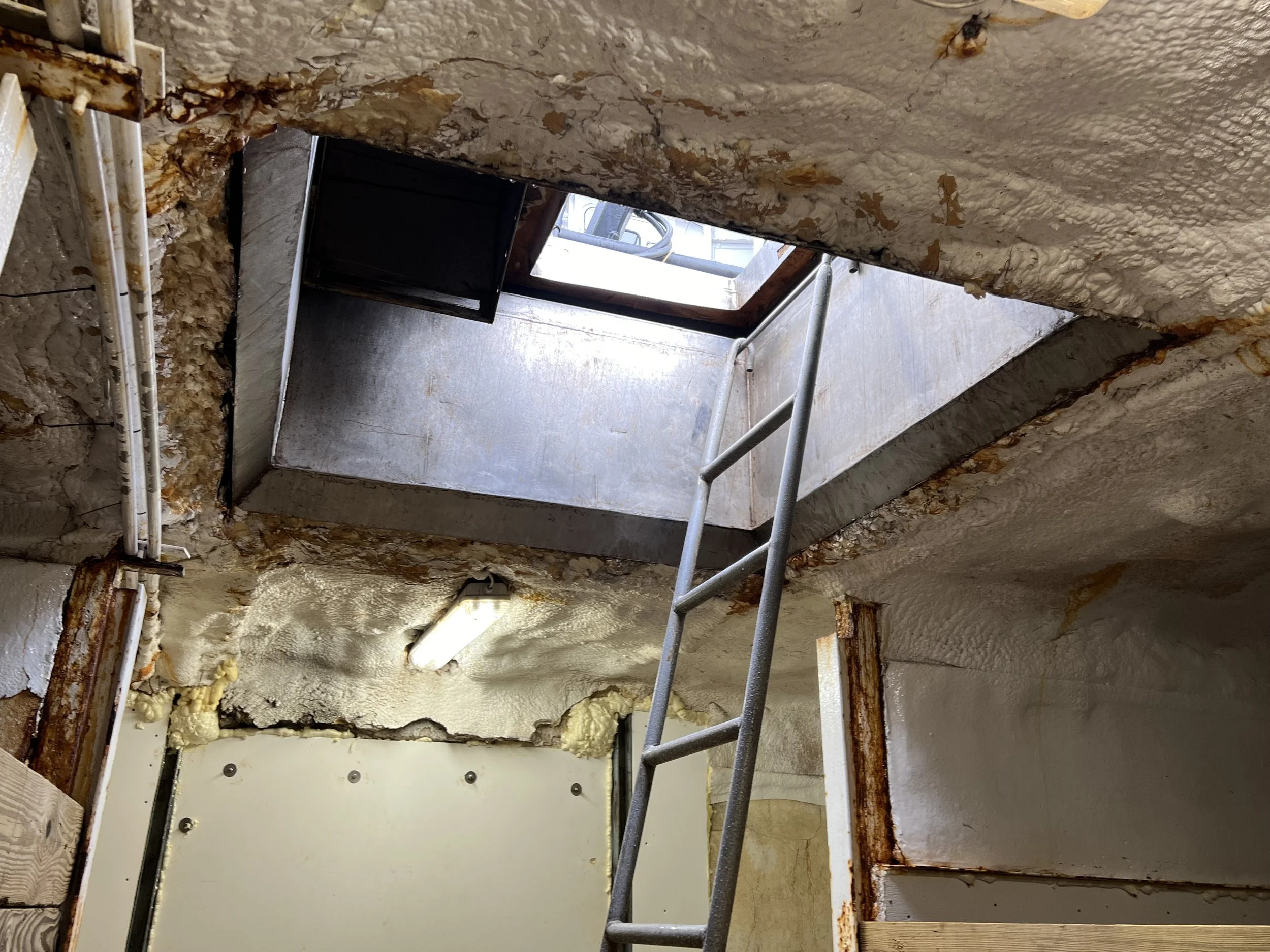 VIRGINIA QUEEN 24-0032  (91).JPG