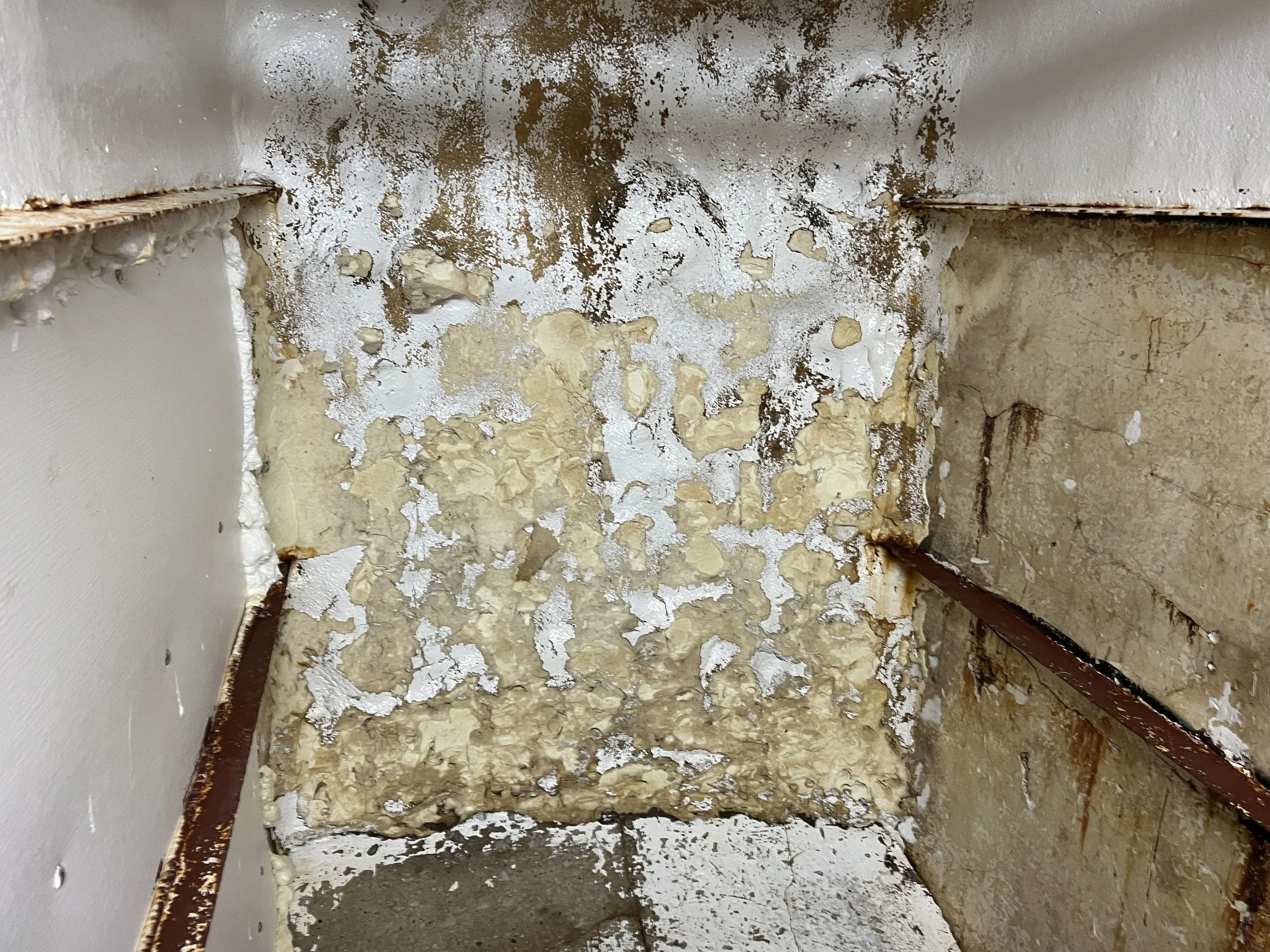 VIRGINIA QUEEN 24-0032  (90).JPG