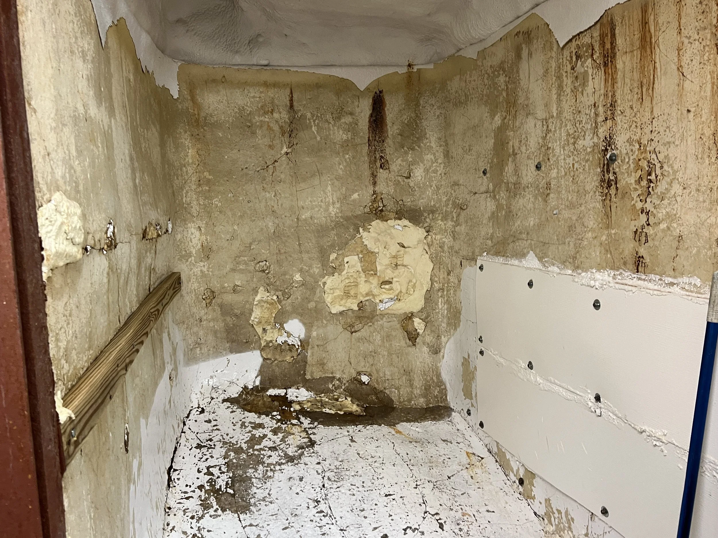 VIRGINIA QUEEN 24-0032  (89).JPG