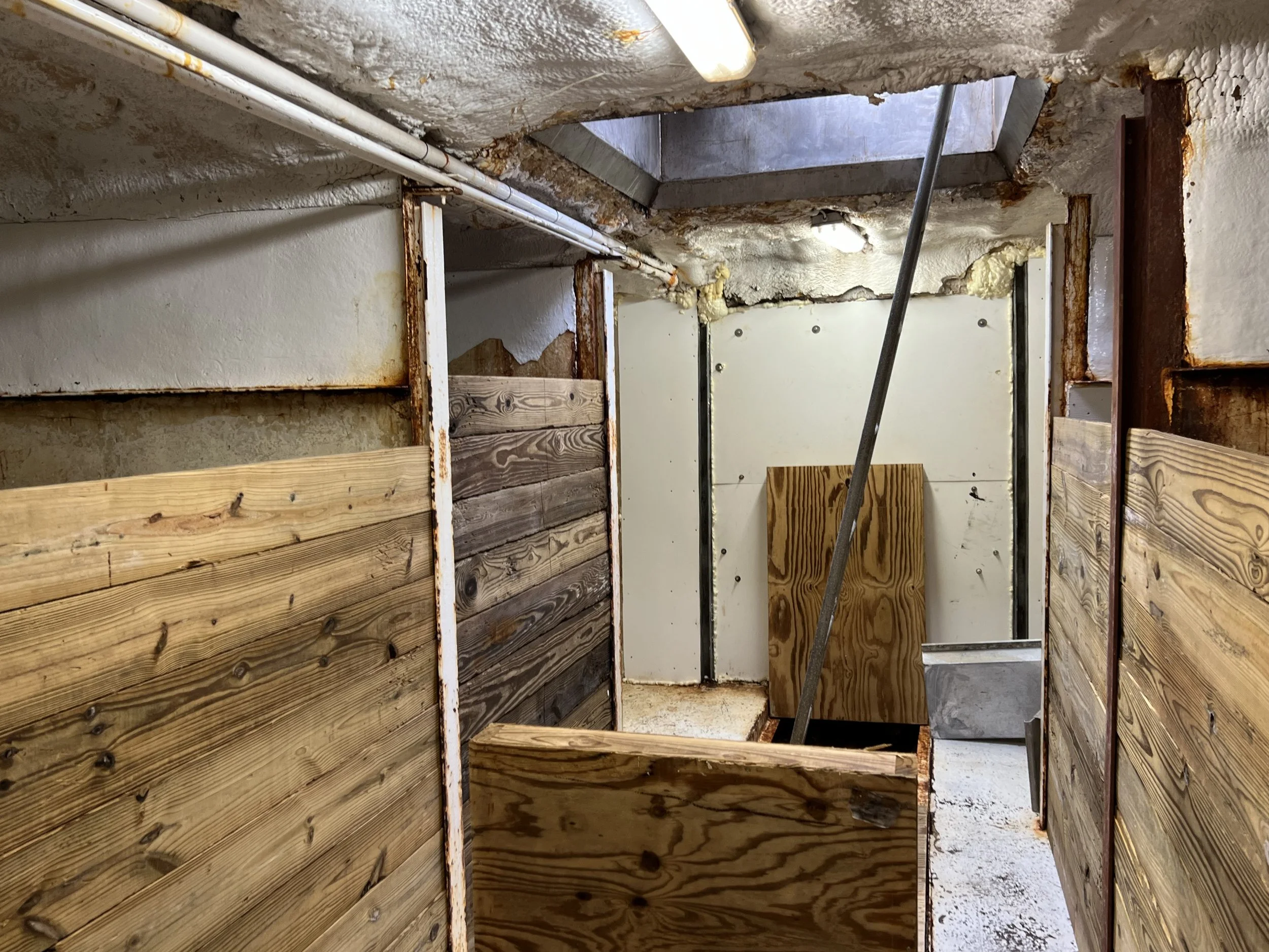 VIRGINIA QUEEN 24-0032  (88).JPG