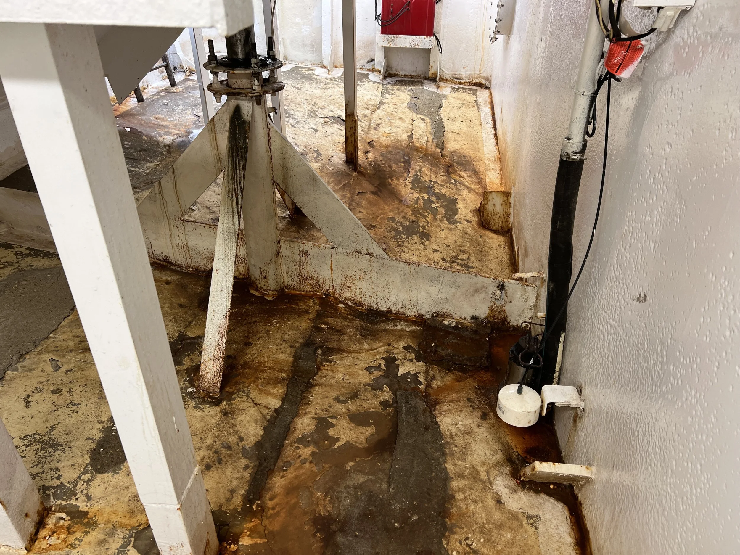 VIRGINIA QUEEN 24-0032  (78).JPG