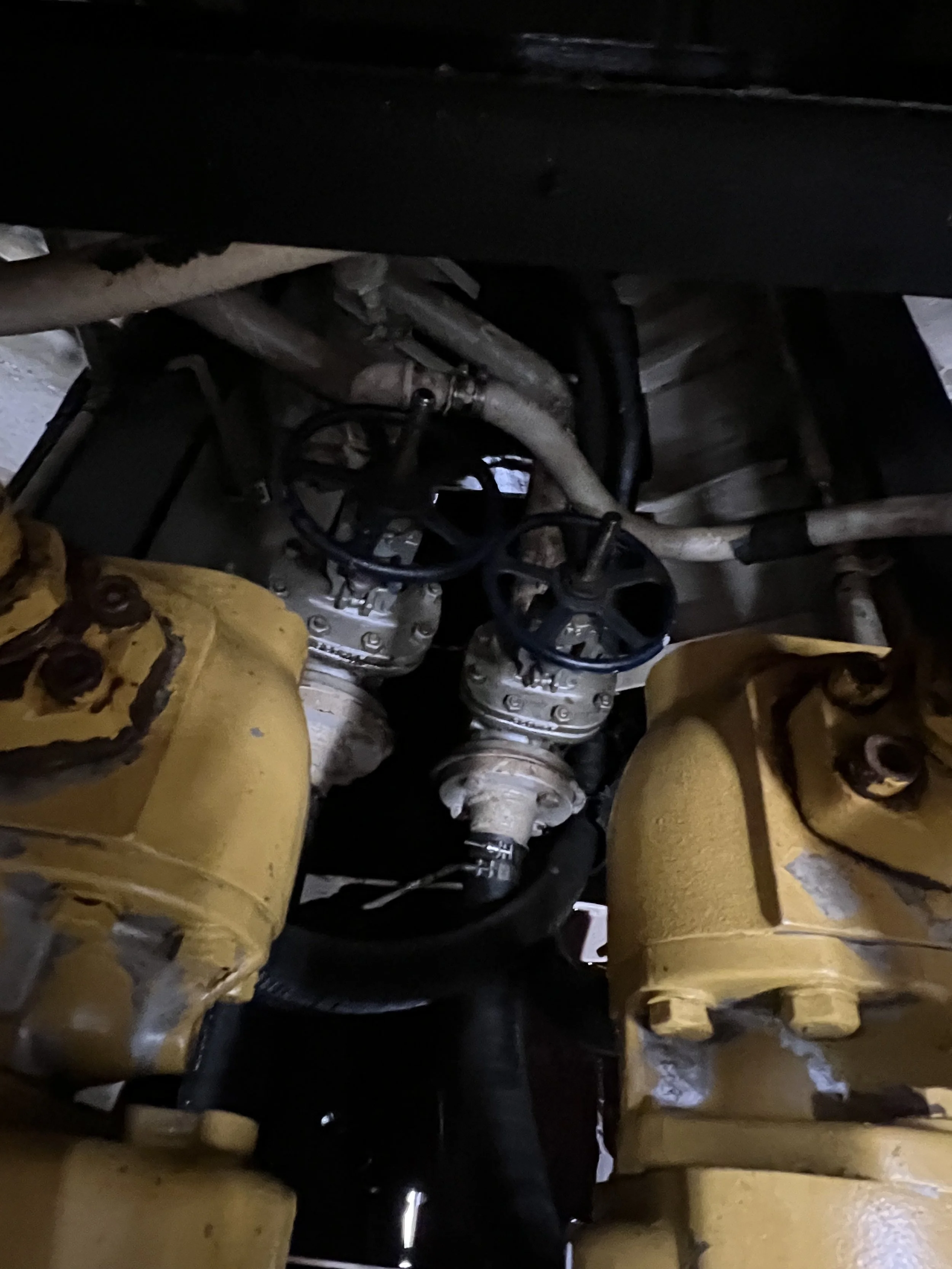 VIRGINIA QUEEN 24-0032  (75).JPG