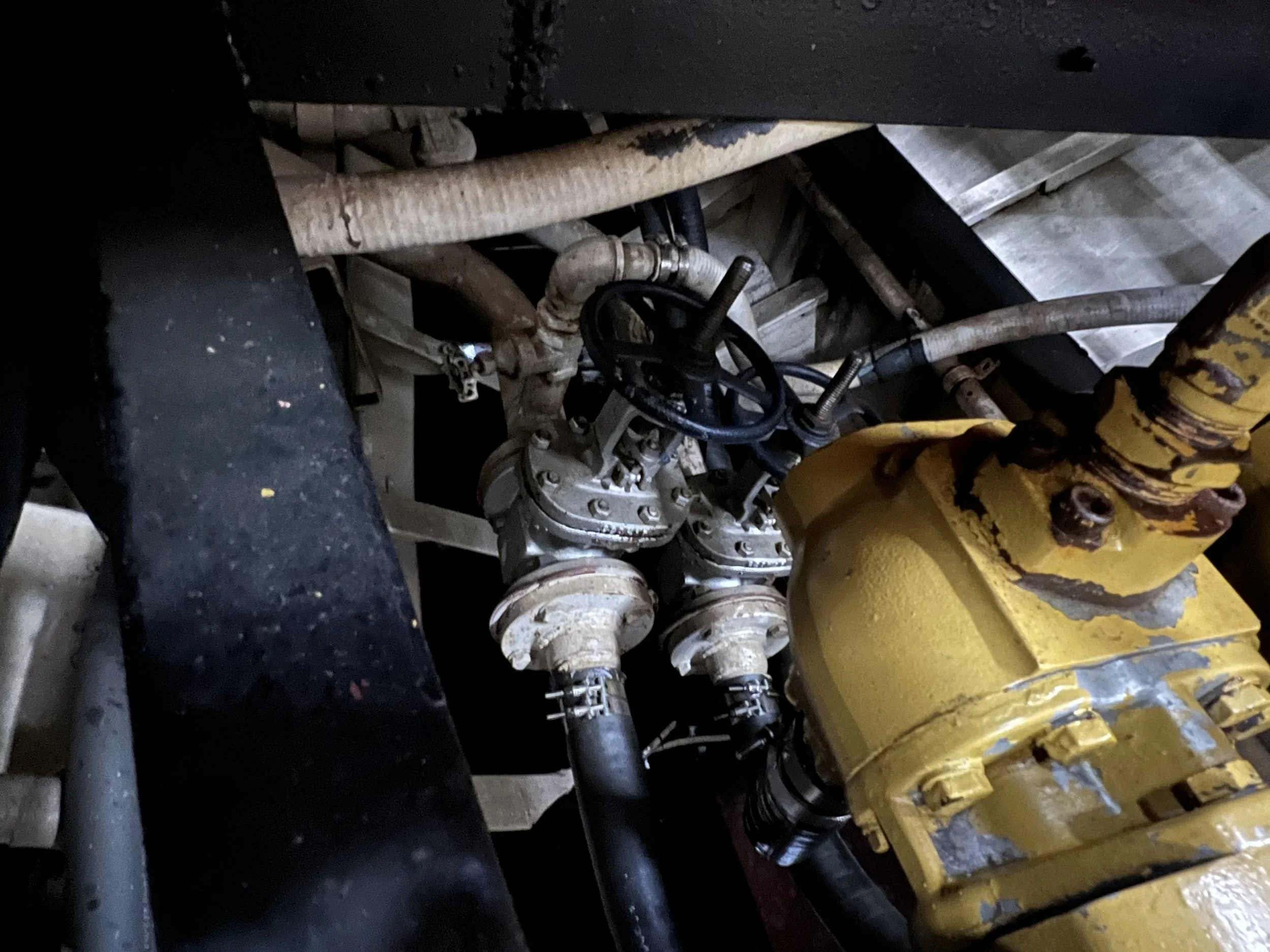 VIRGINIA QUEEN 24-0032  (74).JPG