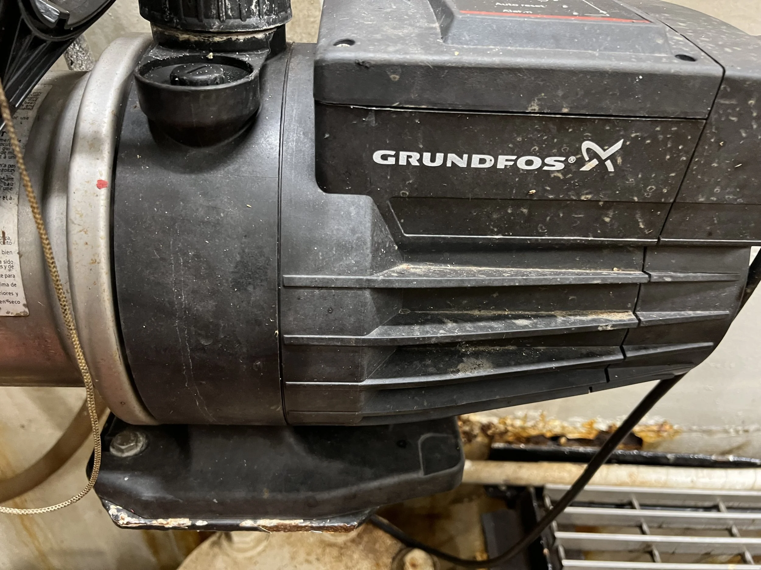 VIRGINIA QUEEN 24-0032  (67).JPG