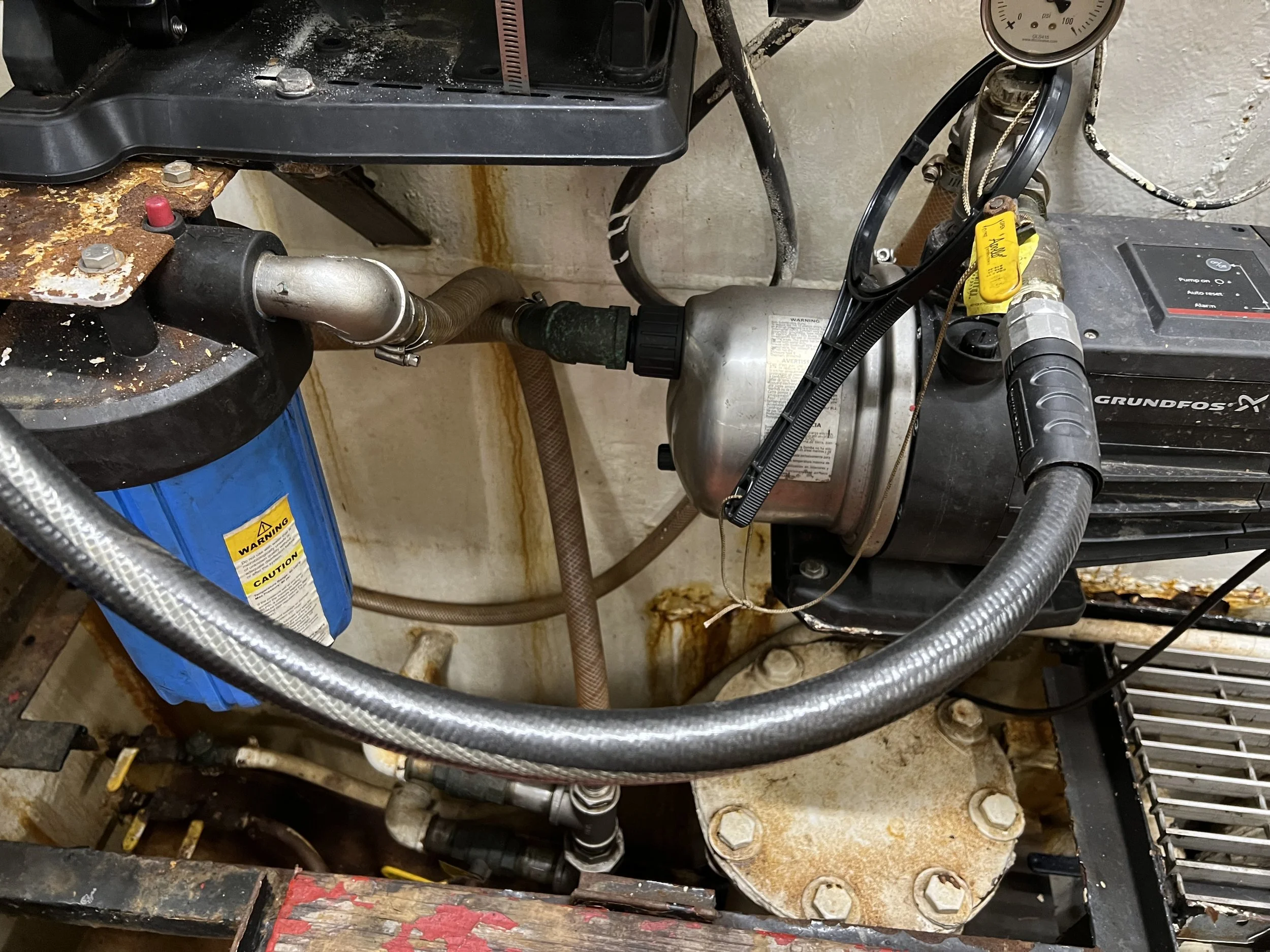 VIRGINIA QUEEN 24-0032  (66).JPG