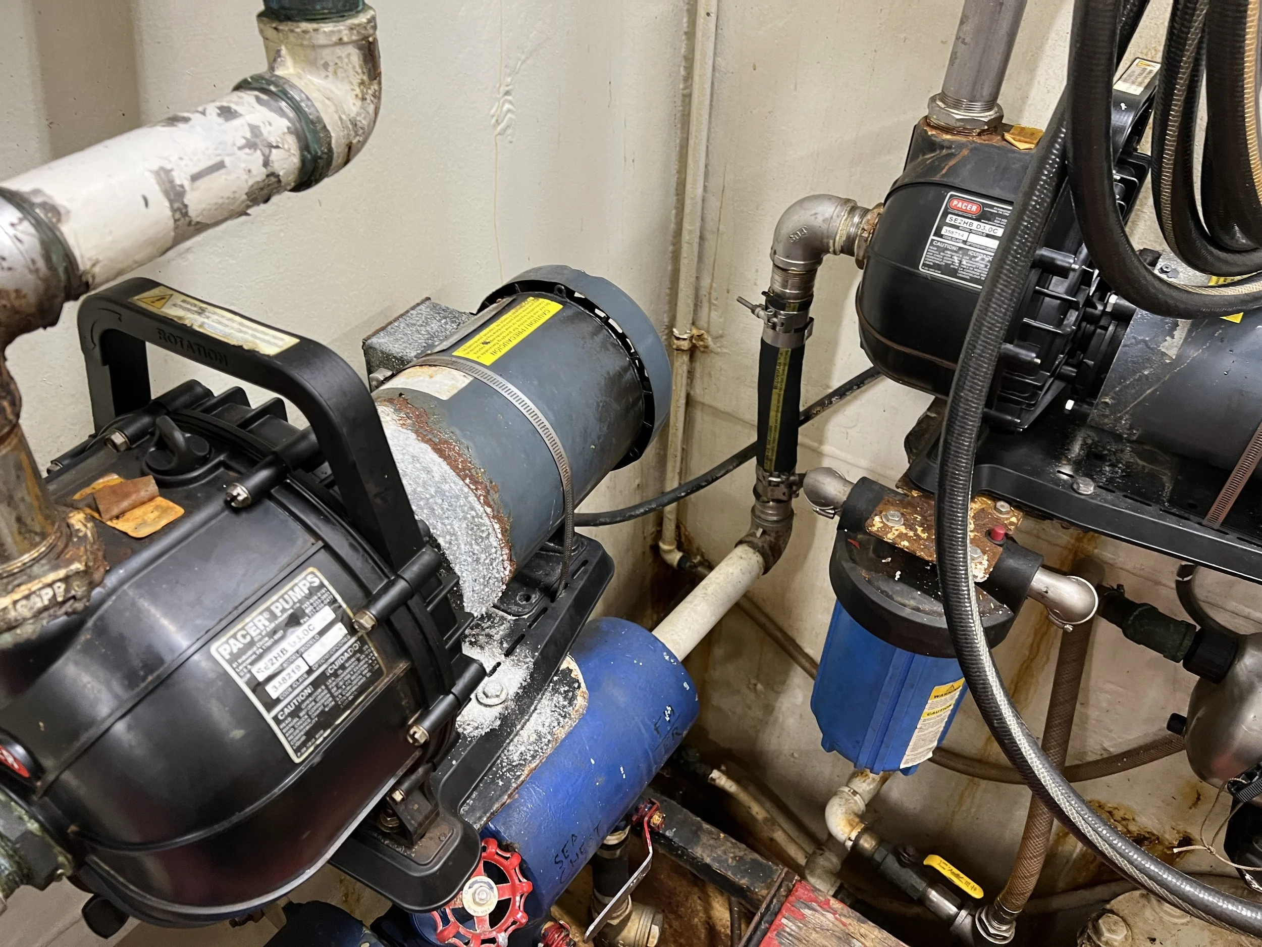 VIRGINIA QUEEN 24-0032  (65).JPG