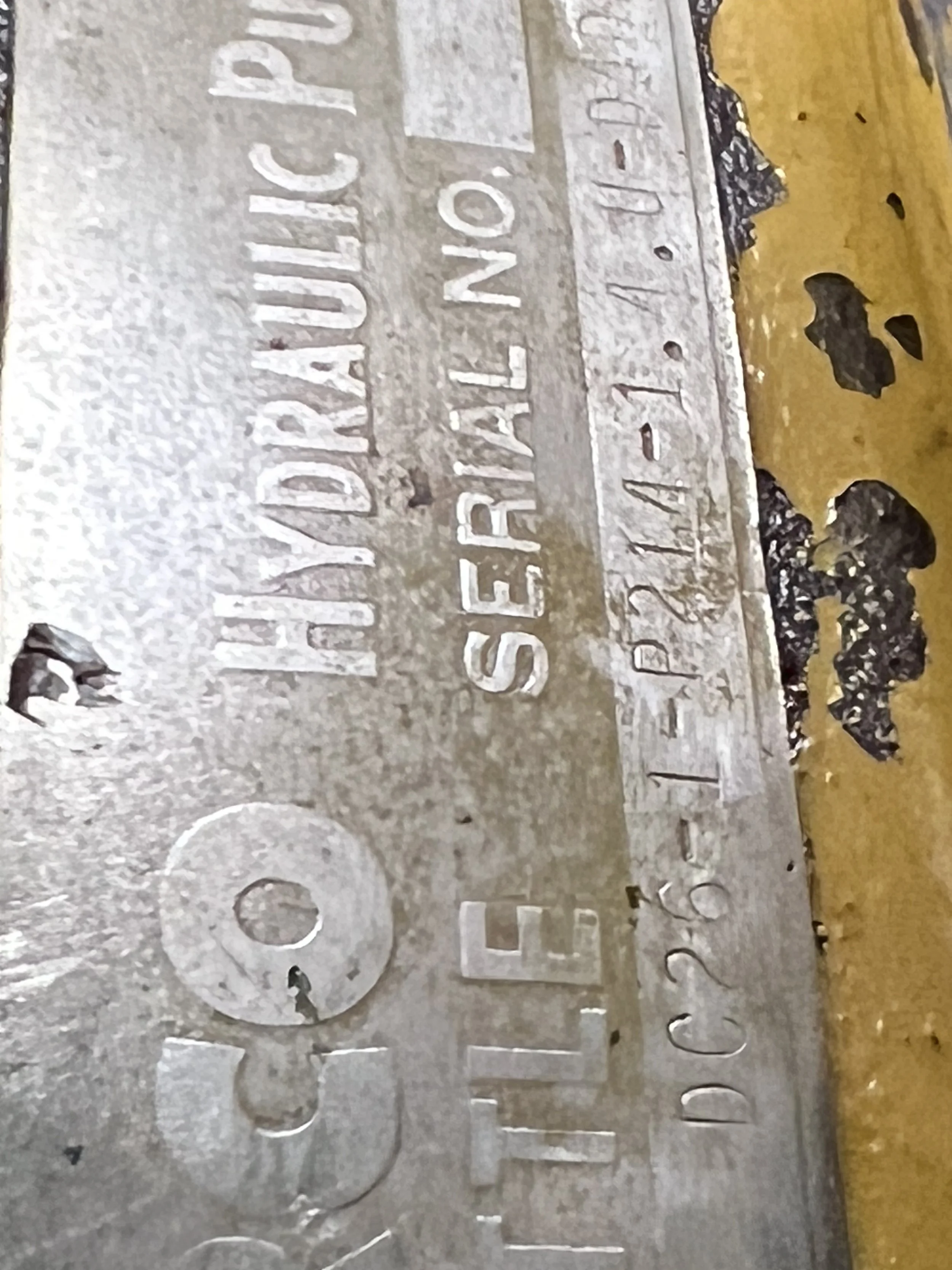 VIRGINIA QUEEN 24-0032  (62).JPG