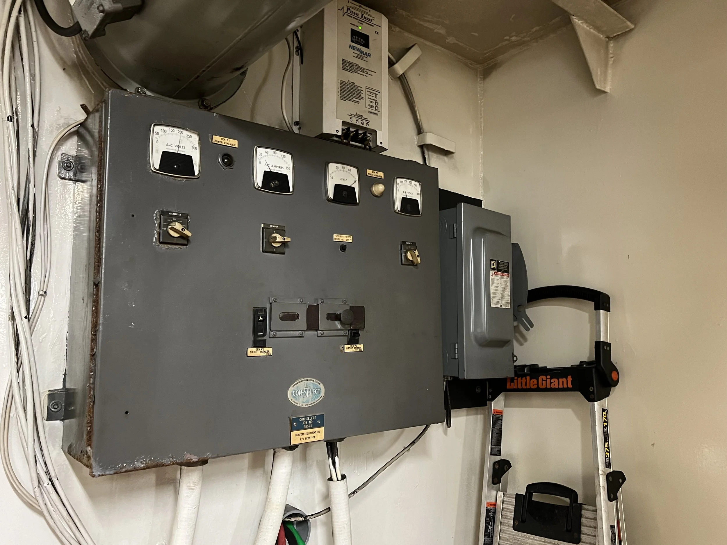 VIRGINIA QUEEN 24-0032  (55).JPG