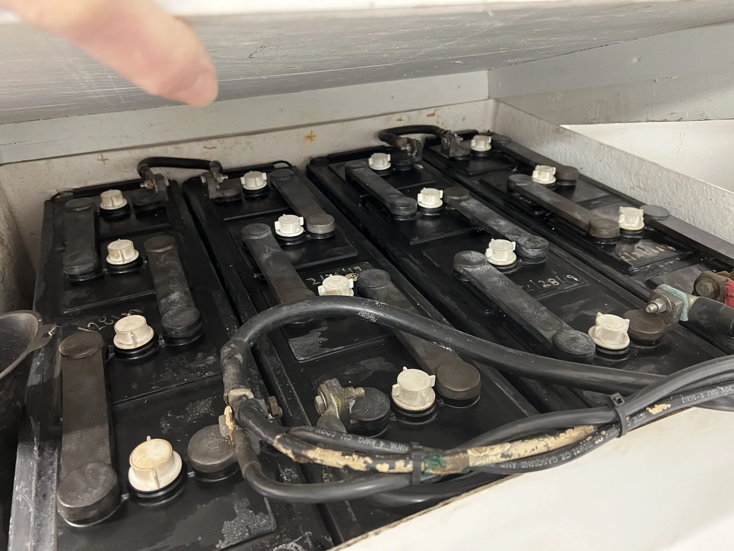 VIRGINIA QUEEN 24-0032  (44).JPG