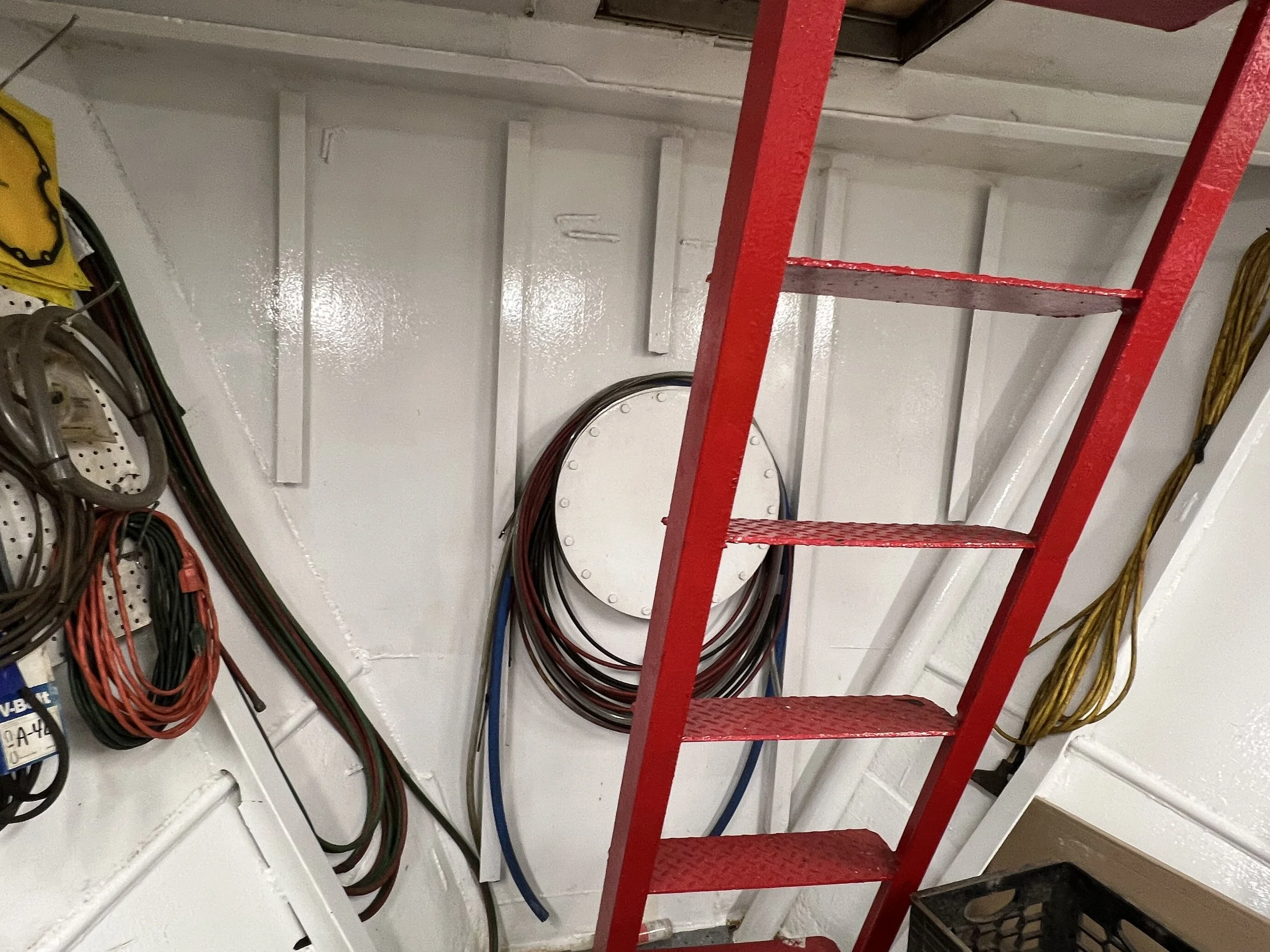 VIRGINIA QUEEN 24-0032  (43).JPG