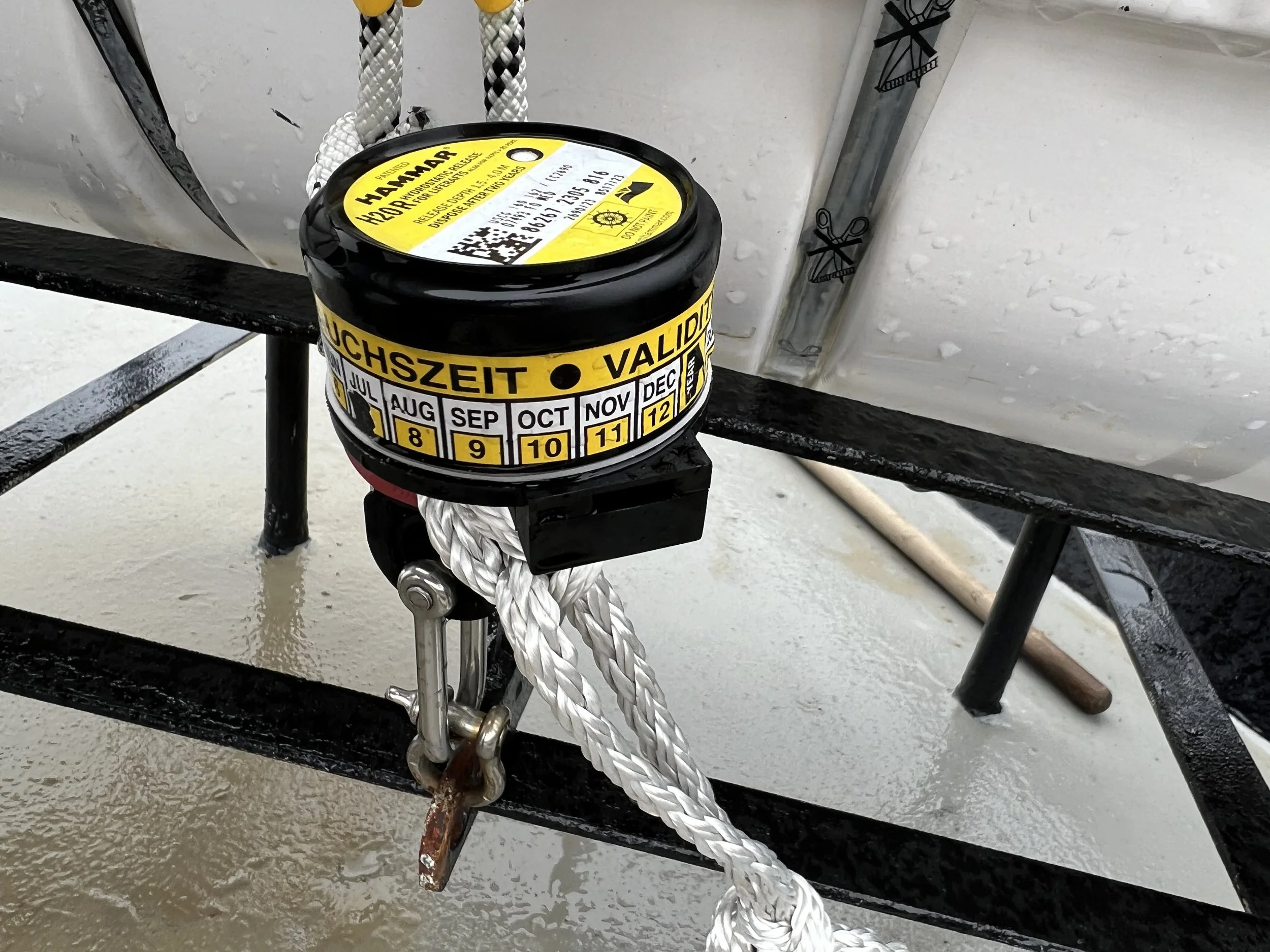 VIRGINIA QUEEN 24-0032  (26).JPG