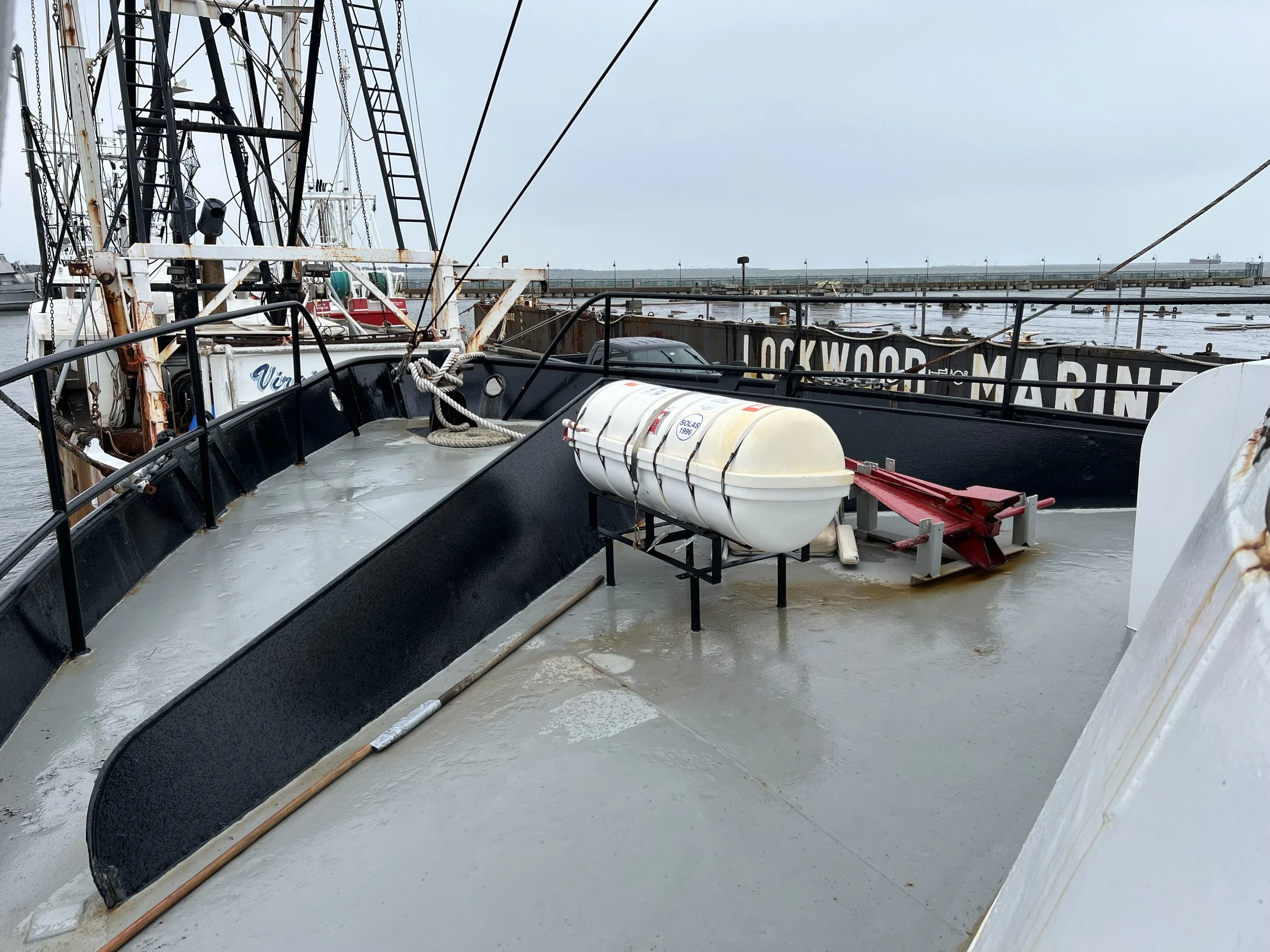 VIRGINIA QUEEN 24-0032  (18).JPG