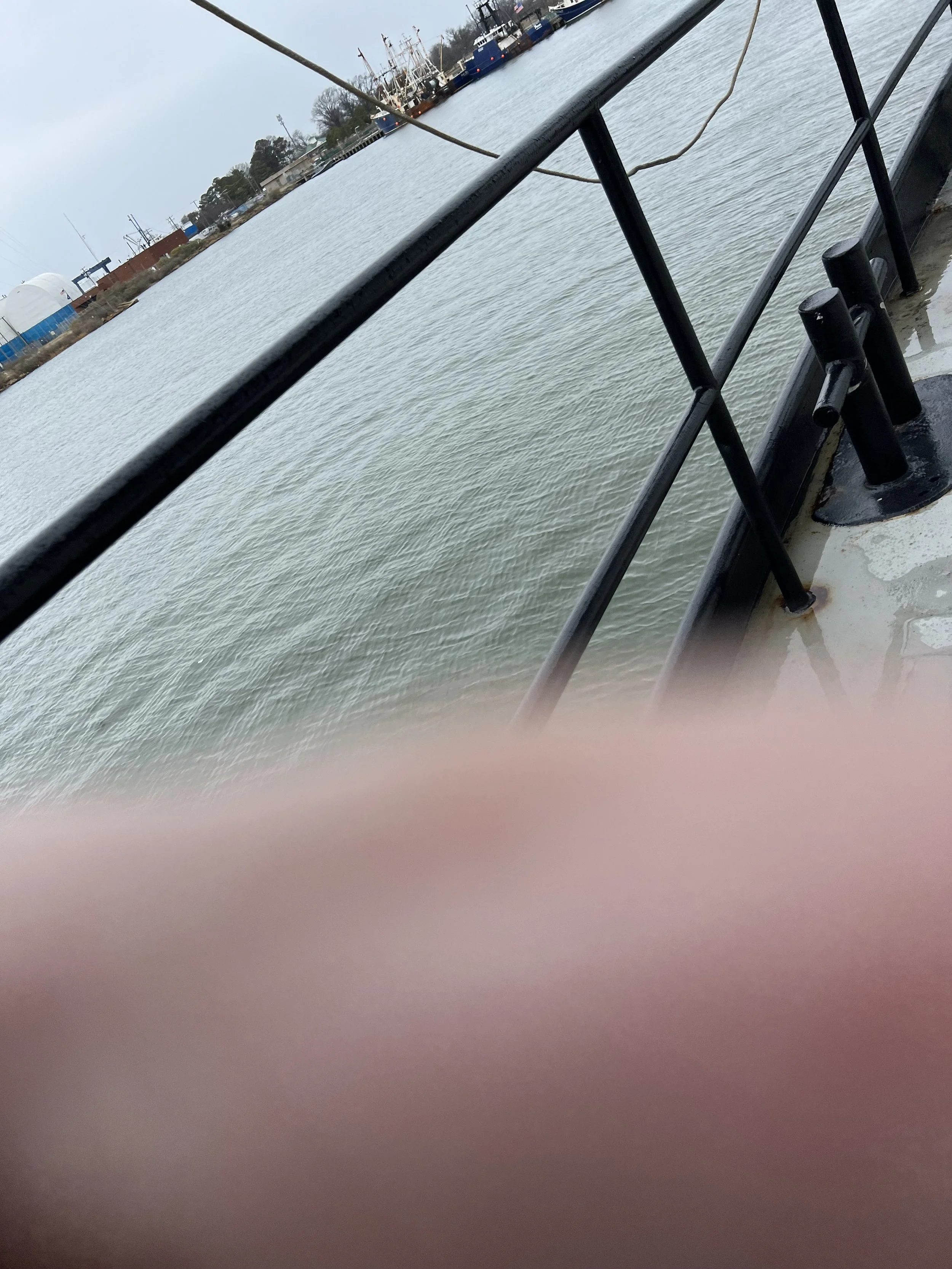 VIRGINIA QUEEN 24-0032  (17).JPG