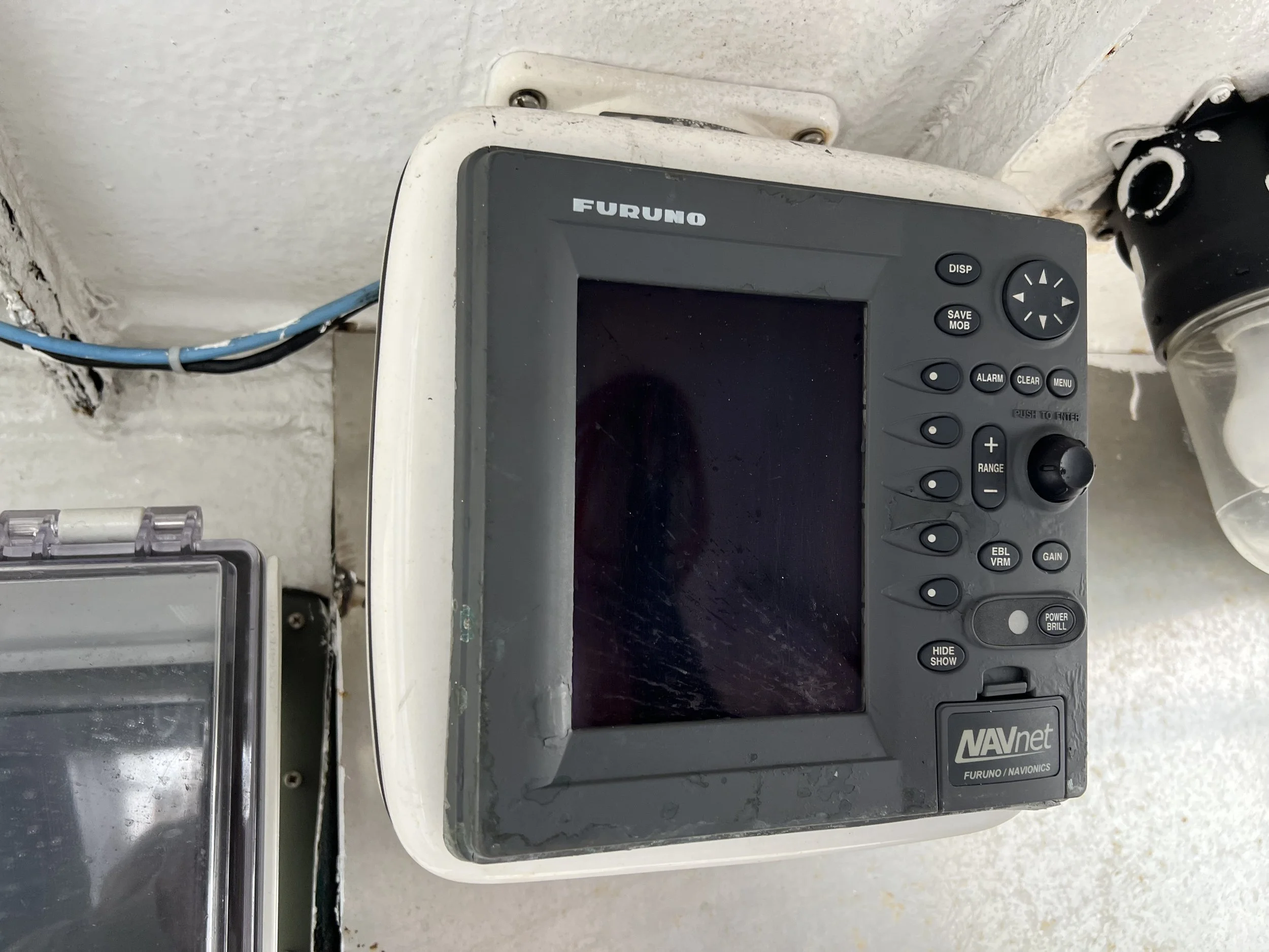 VIRGINIA QUEEN 24-0032  (14).JPG