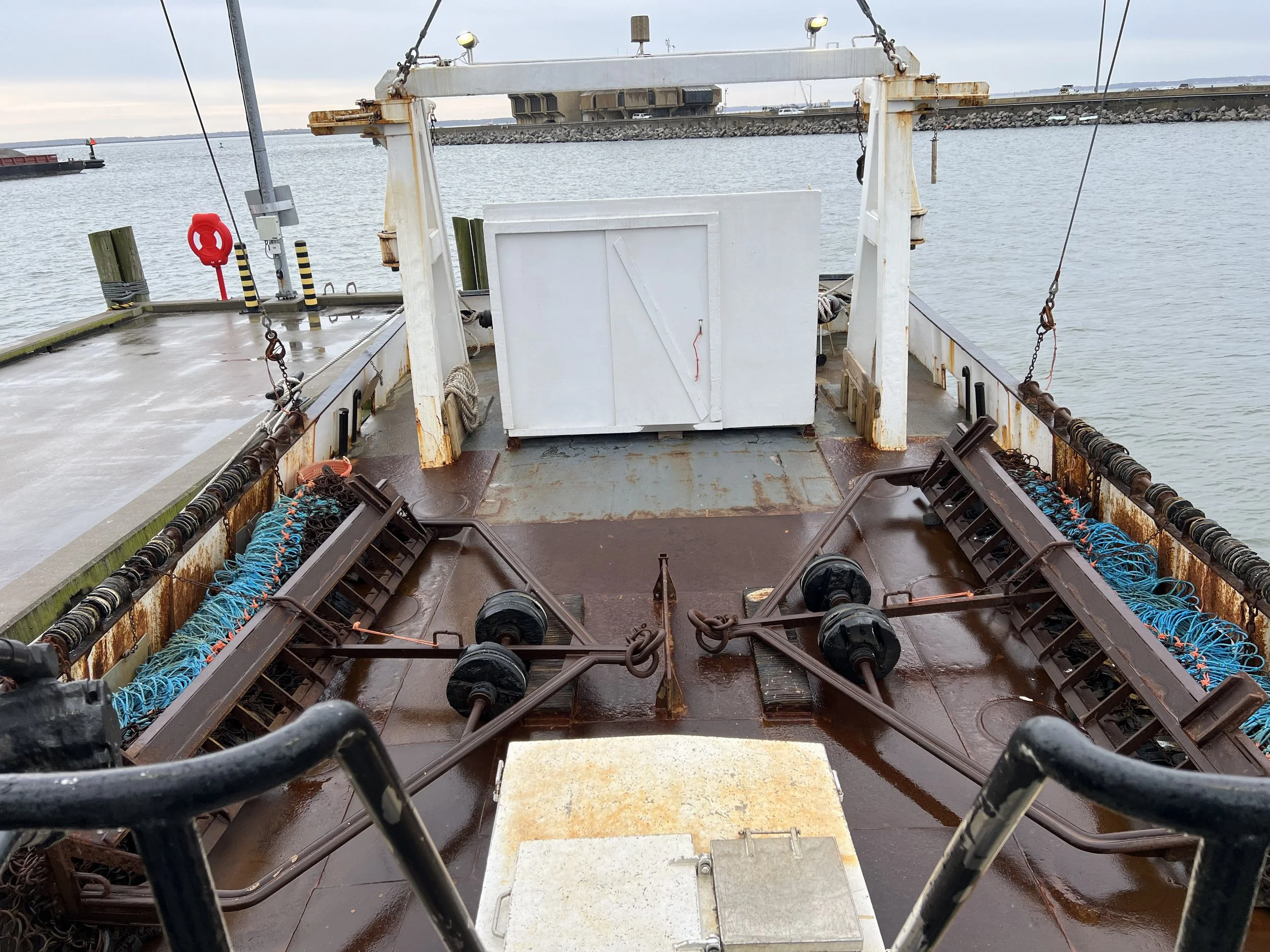 VIRGINIA QUEEN 24-0032  (12).JPG