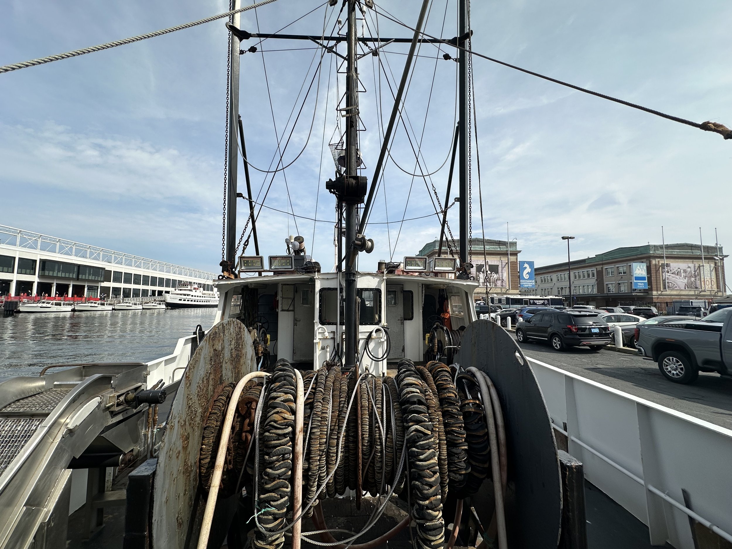 IMG_5330.jpeg