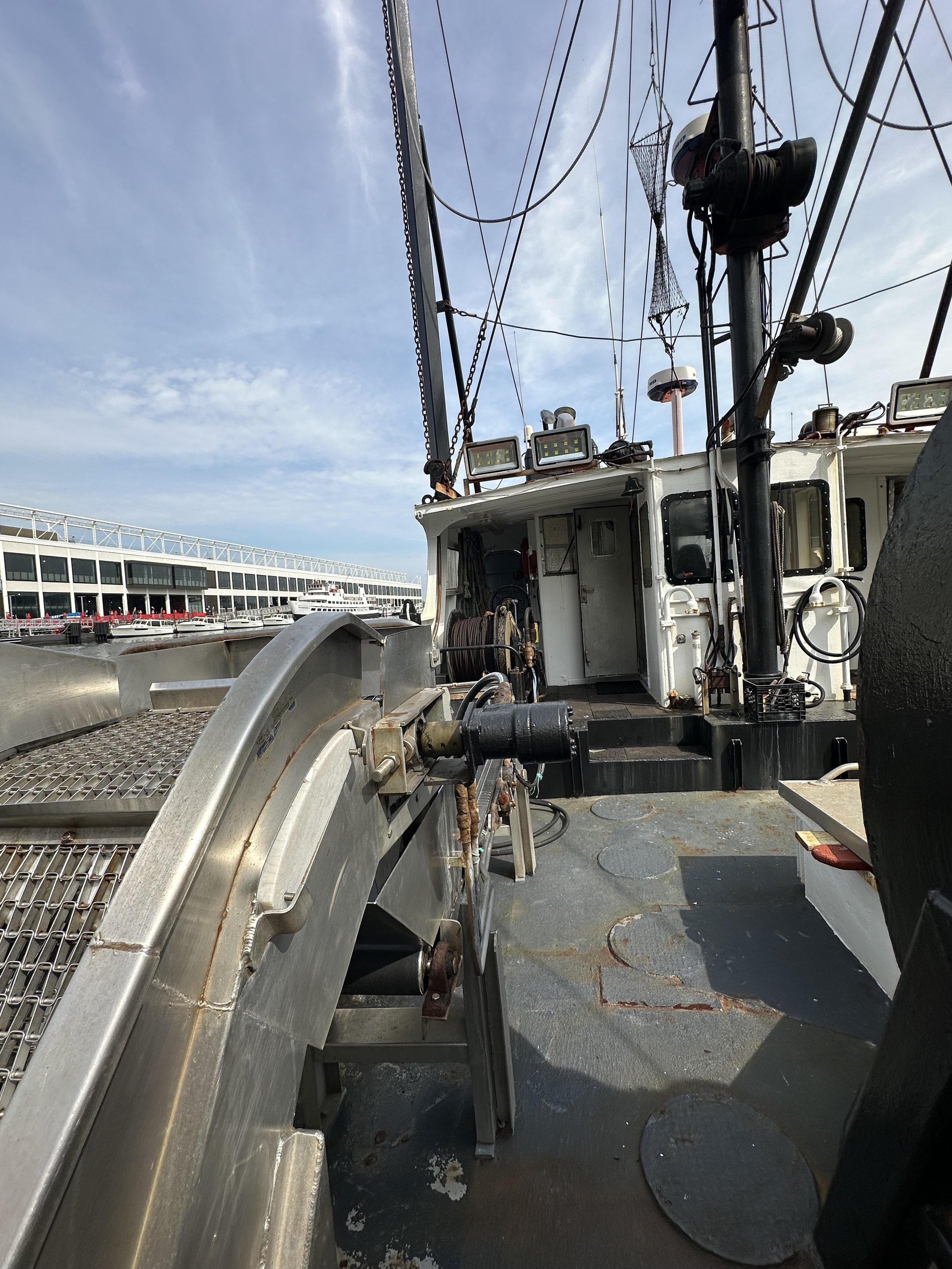 IMG_5337.jpeg