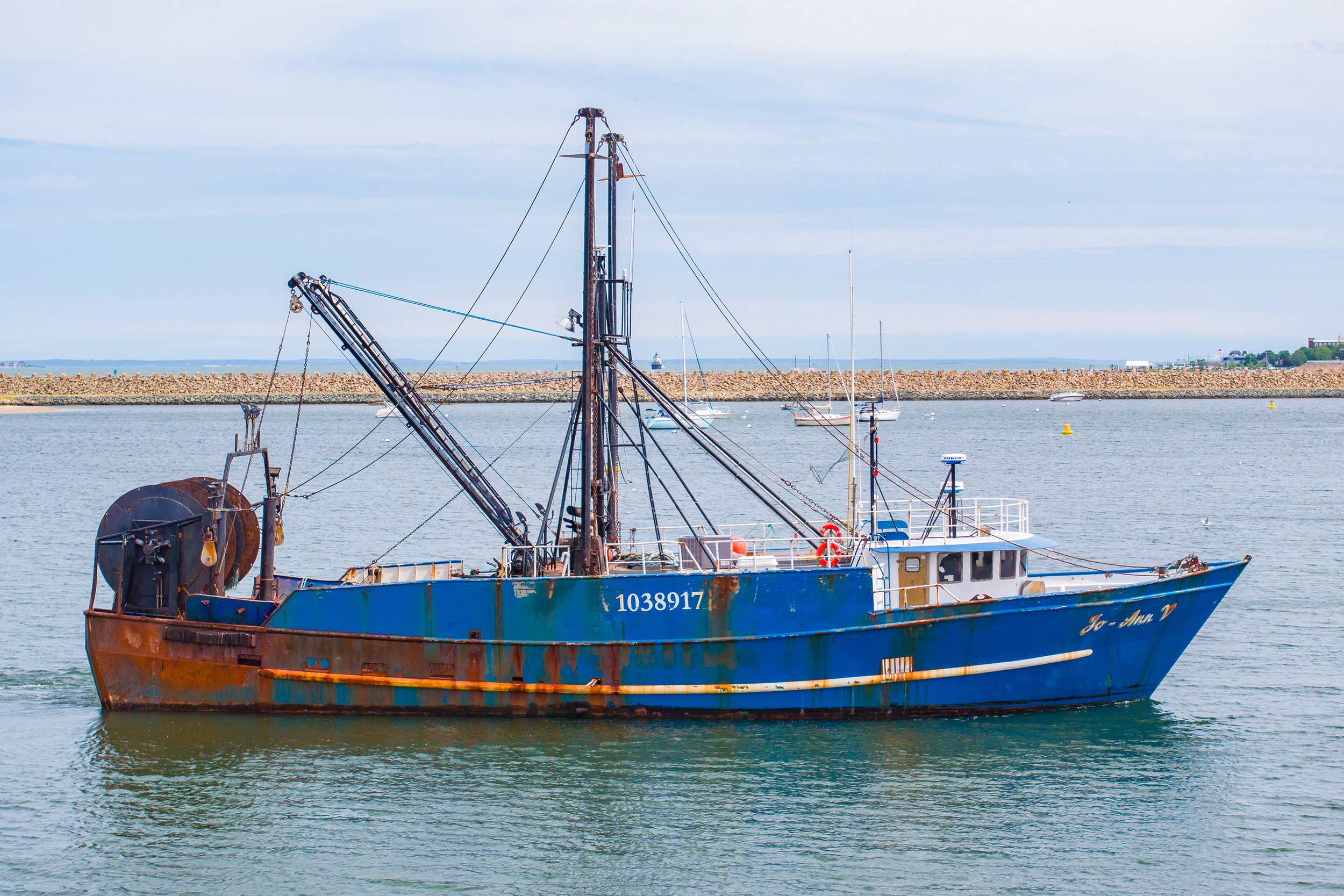 Jo-Ann-1005.jpg