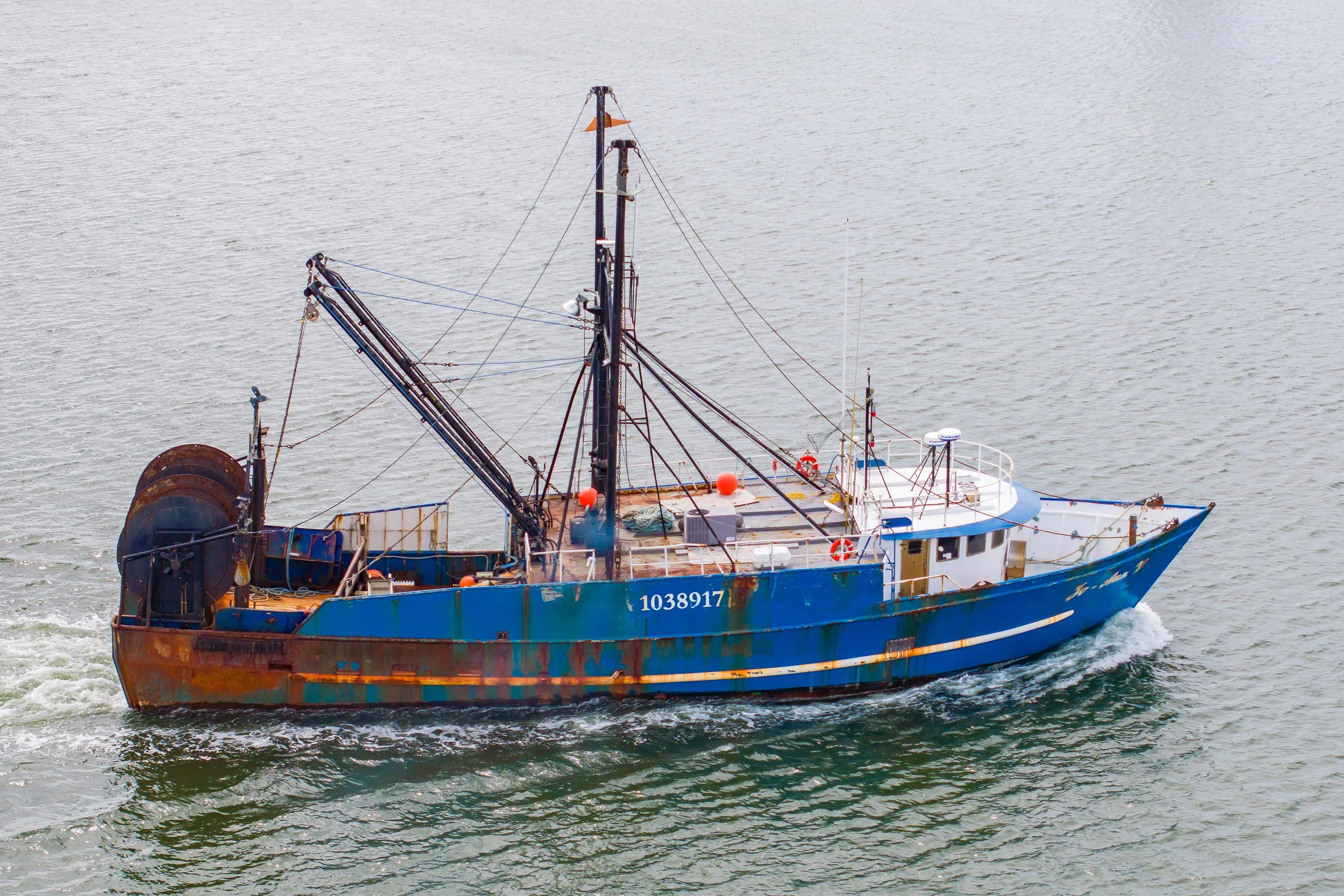 Jo-Ann-1011.jpg