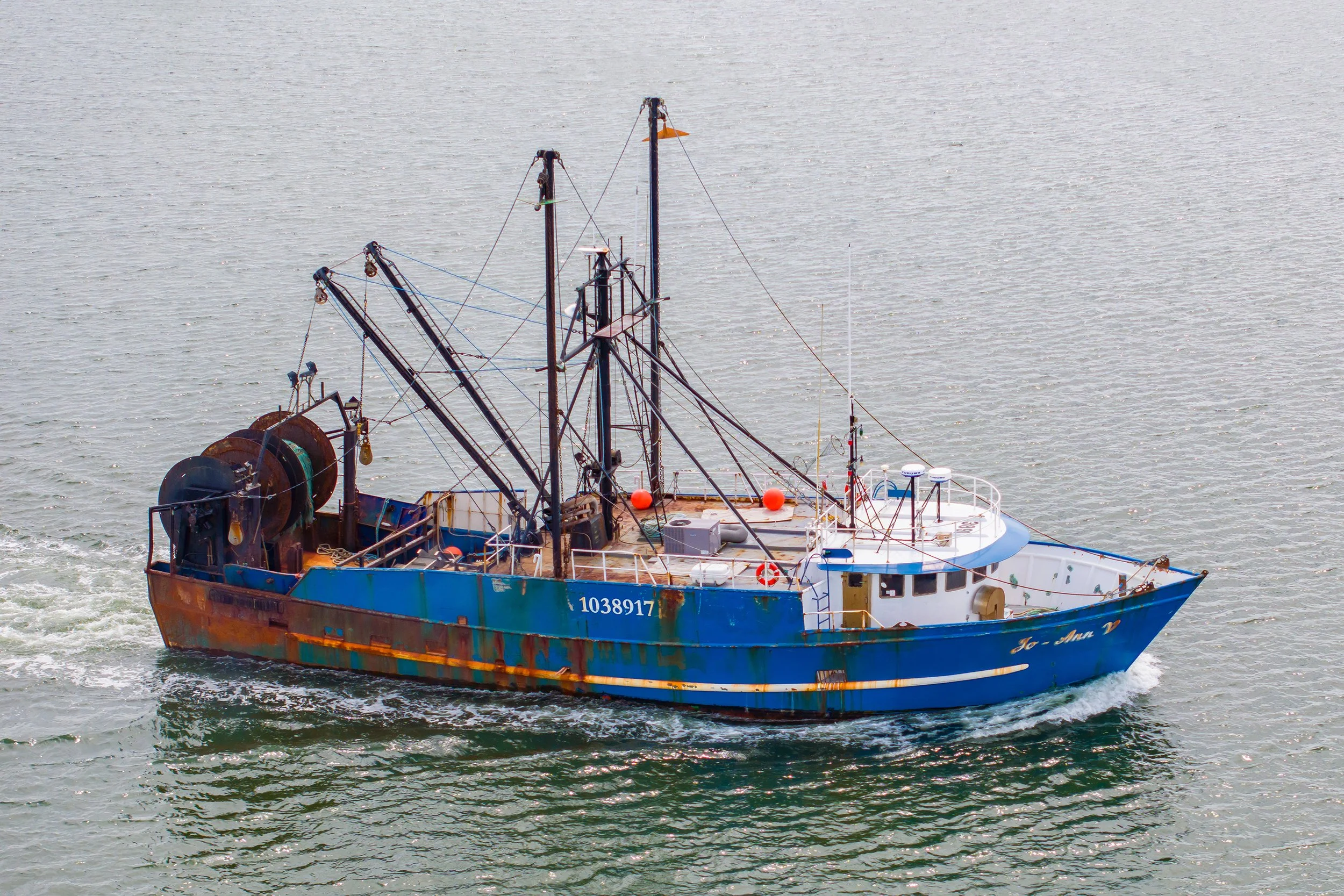 Jo-Ann-1012.jpg