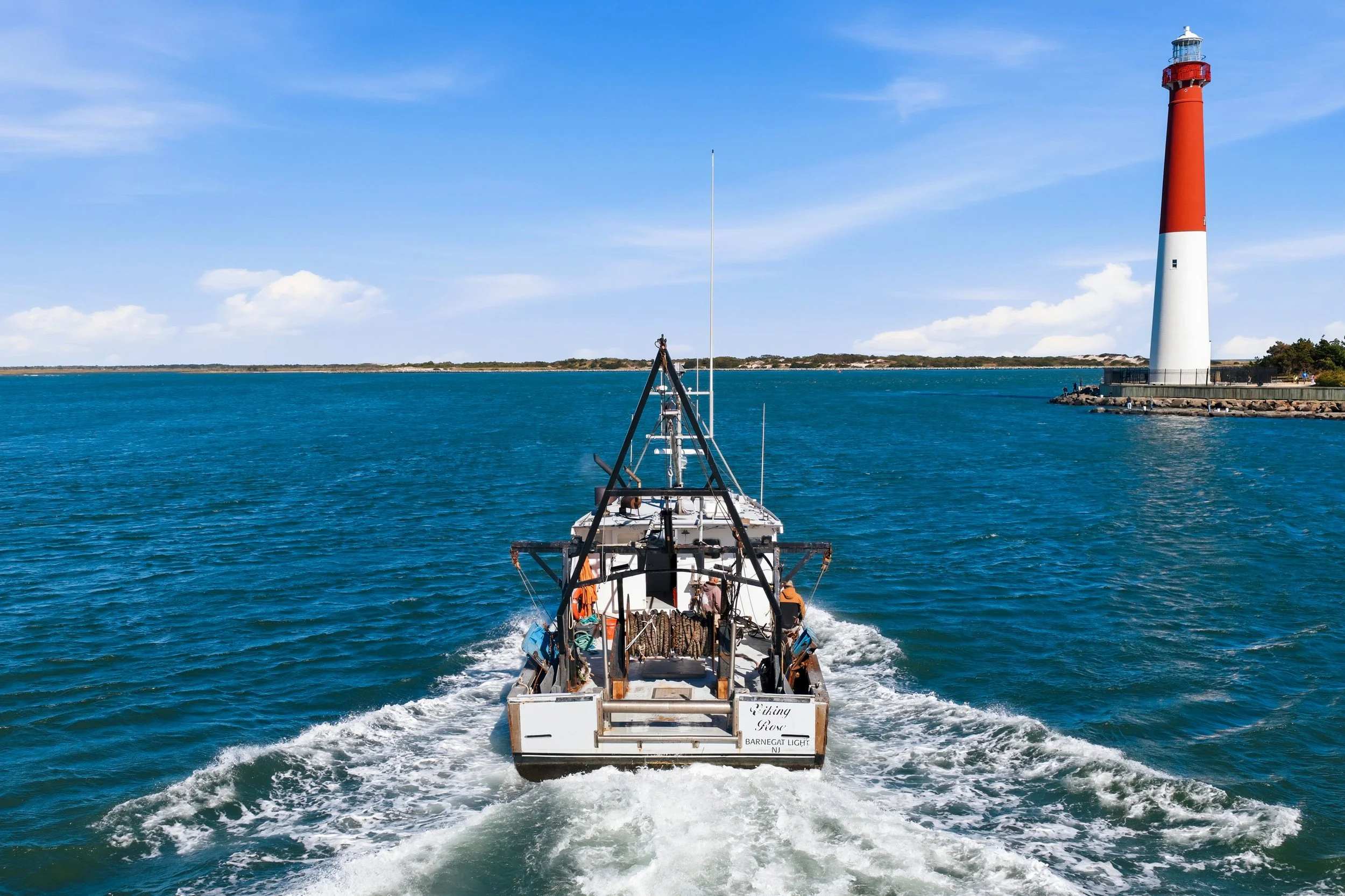 FV-Viking-Rose-4.jpg