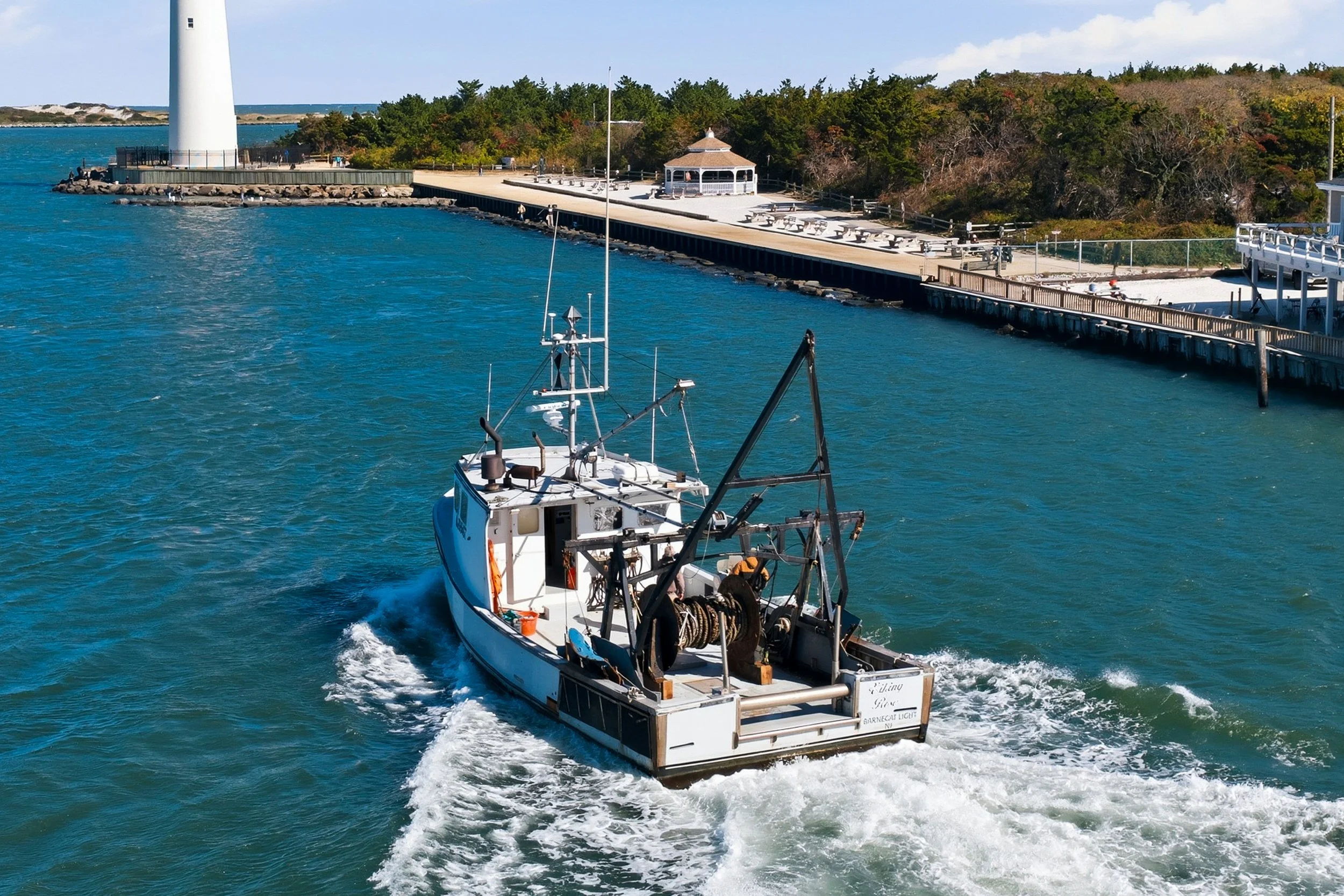 FV-Viking-Rose-3.jpg