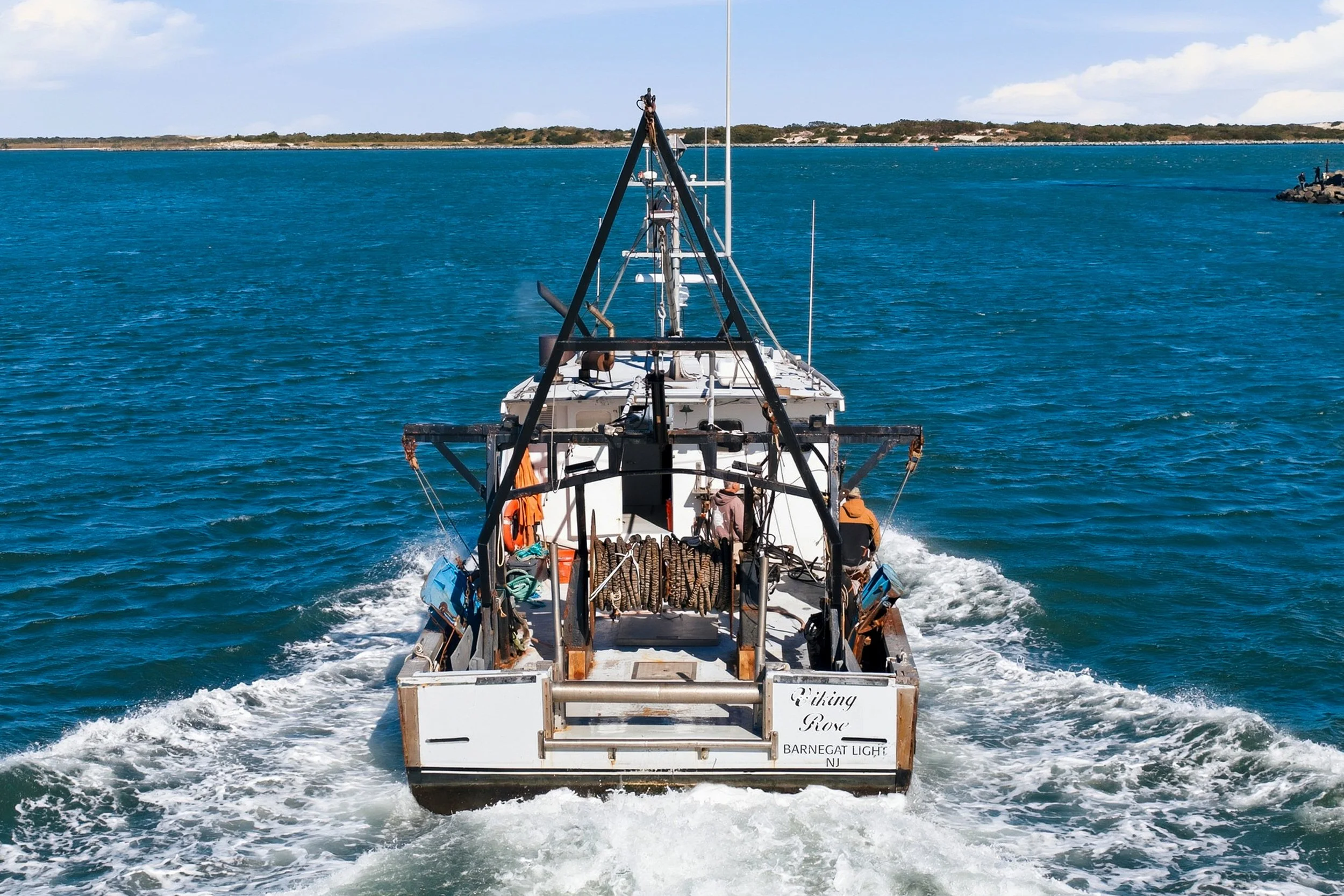 FV-Viking-Rose-5.jpg
