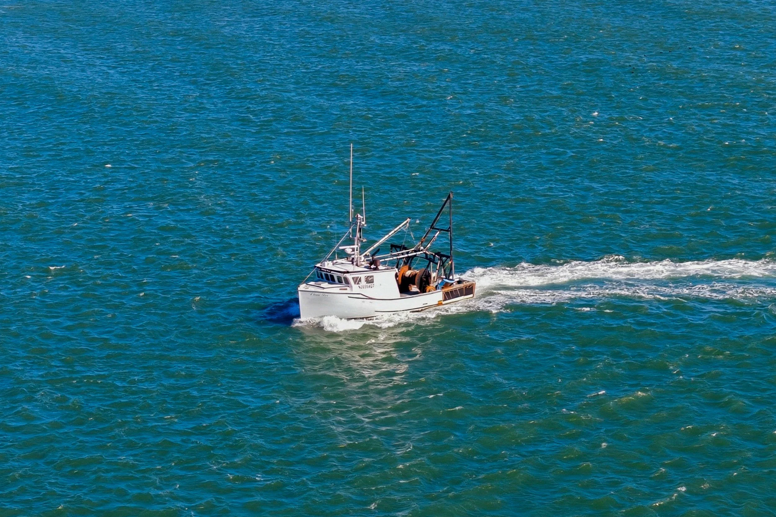 FV-Viking-Rose-8.jpg