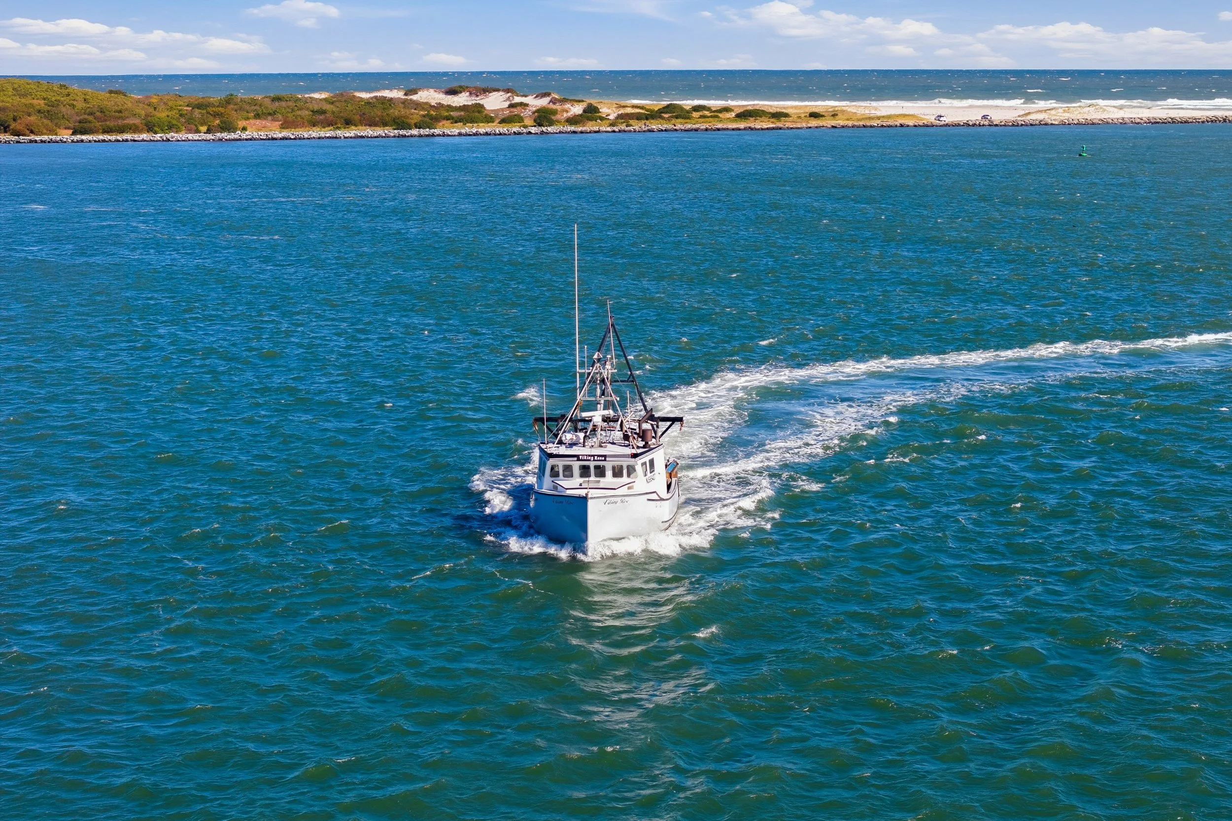 FV-Viking-Rose-9.jpg