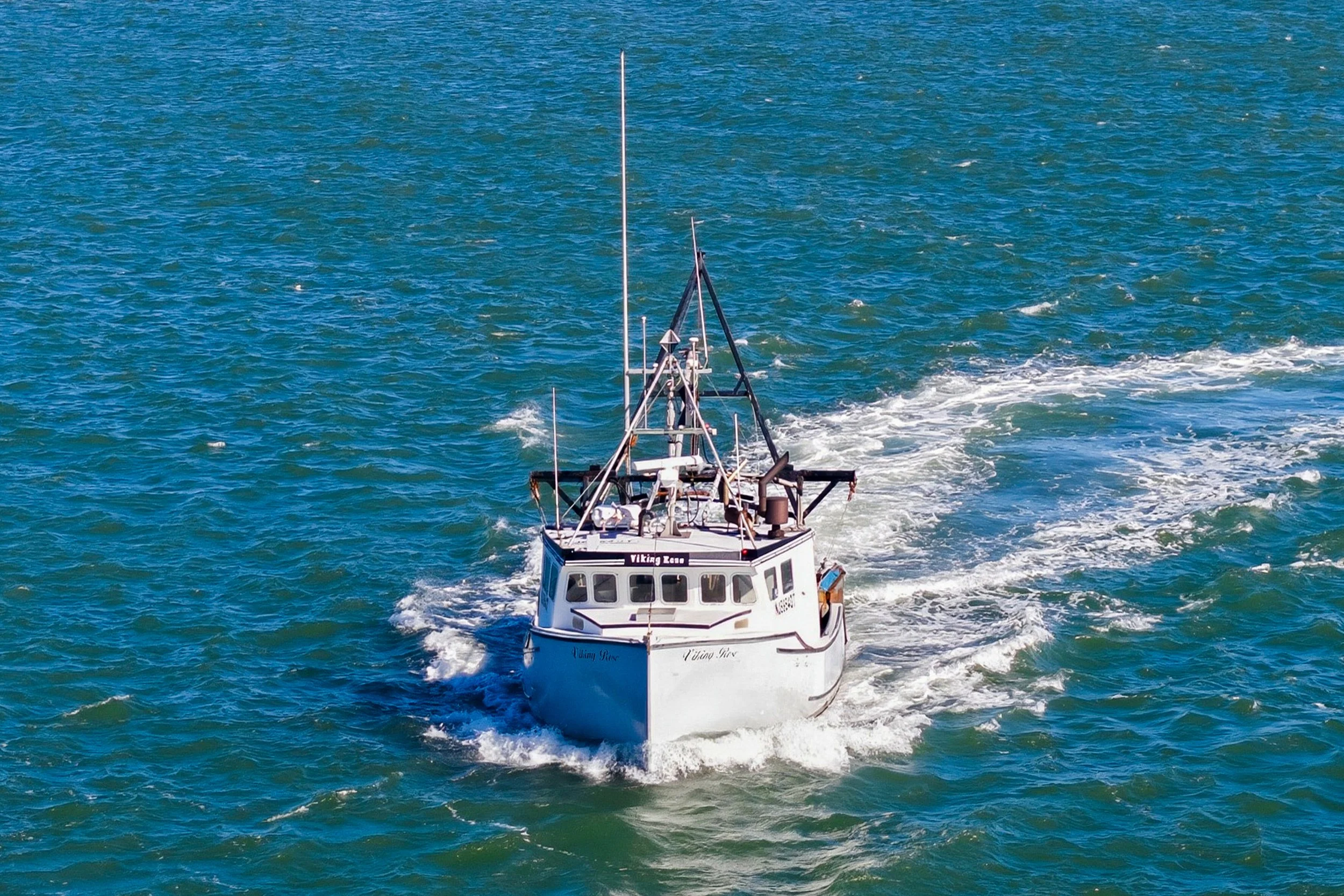 FV-Viking-Rose-10.jpg