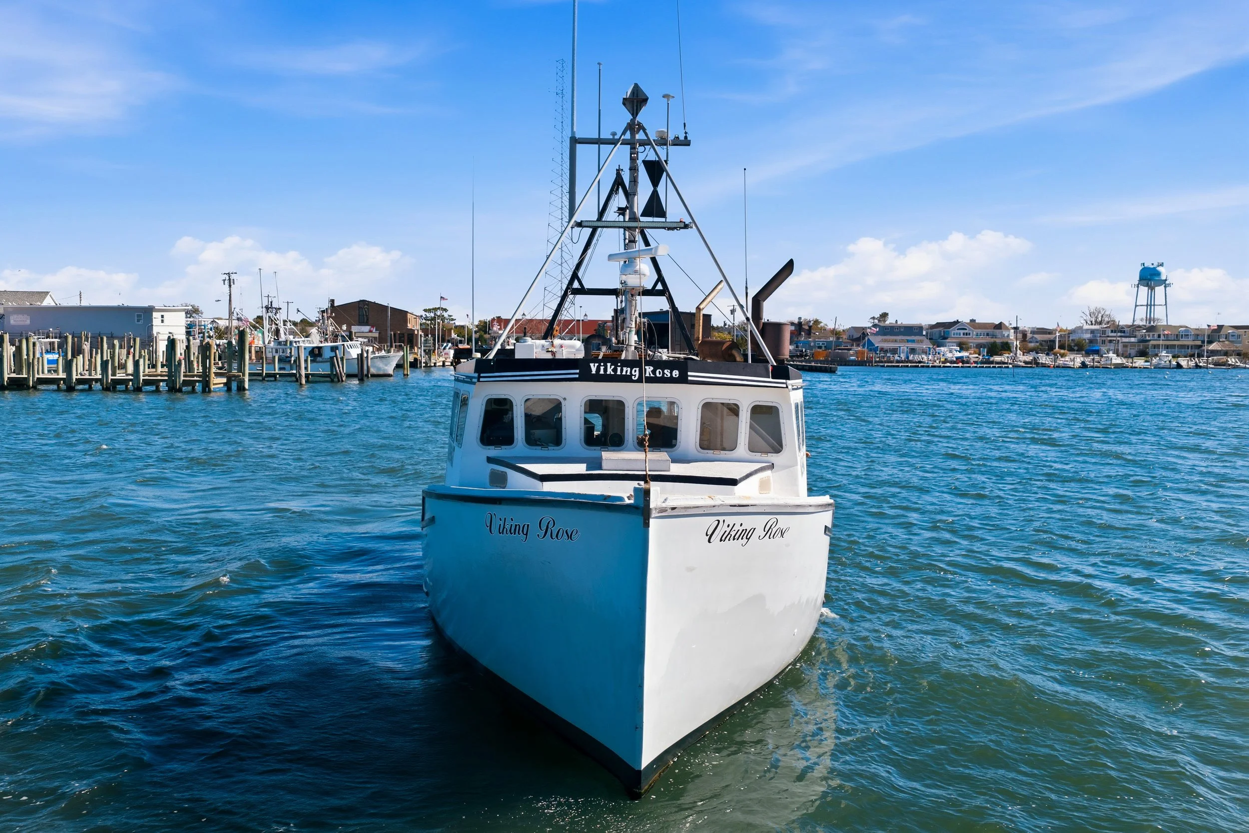 FV-Viking-Rose-13.jpg