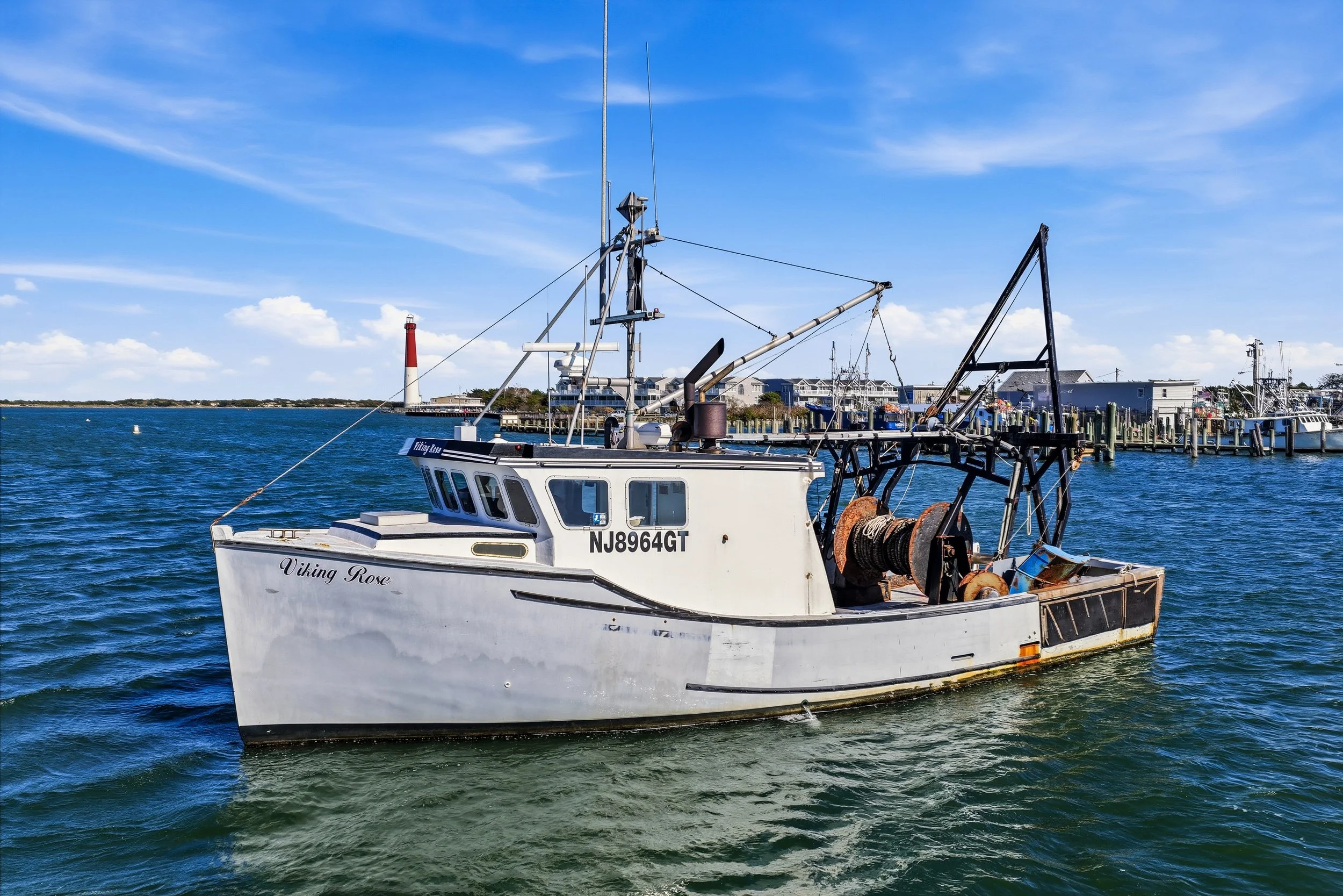 FV-Viking-Rose-14.jpg