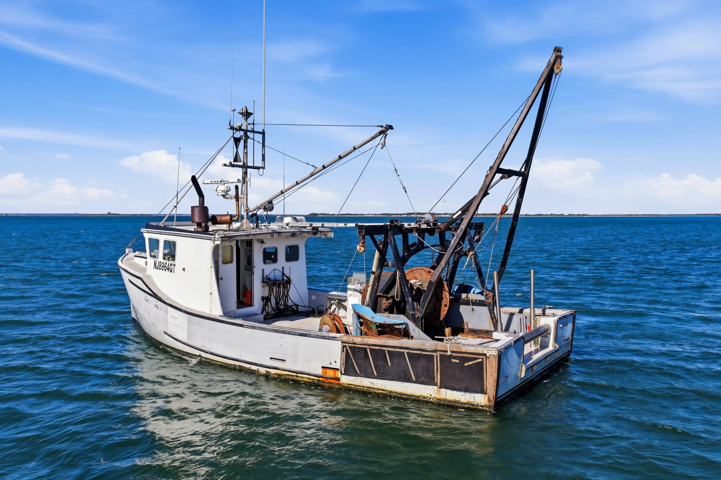 FV-Viking-Rose-15.jpg