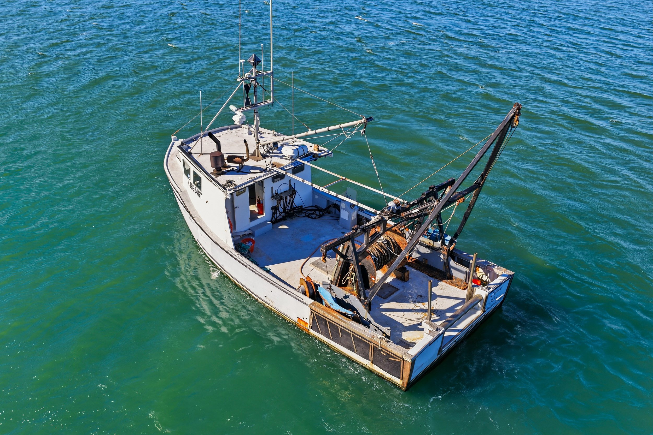 FV-Viking-Rose-18.jpg