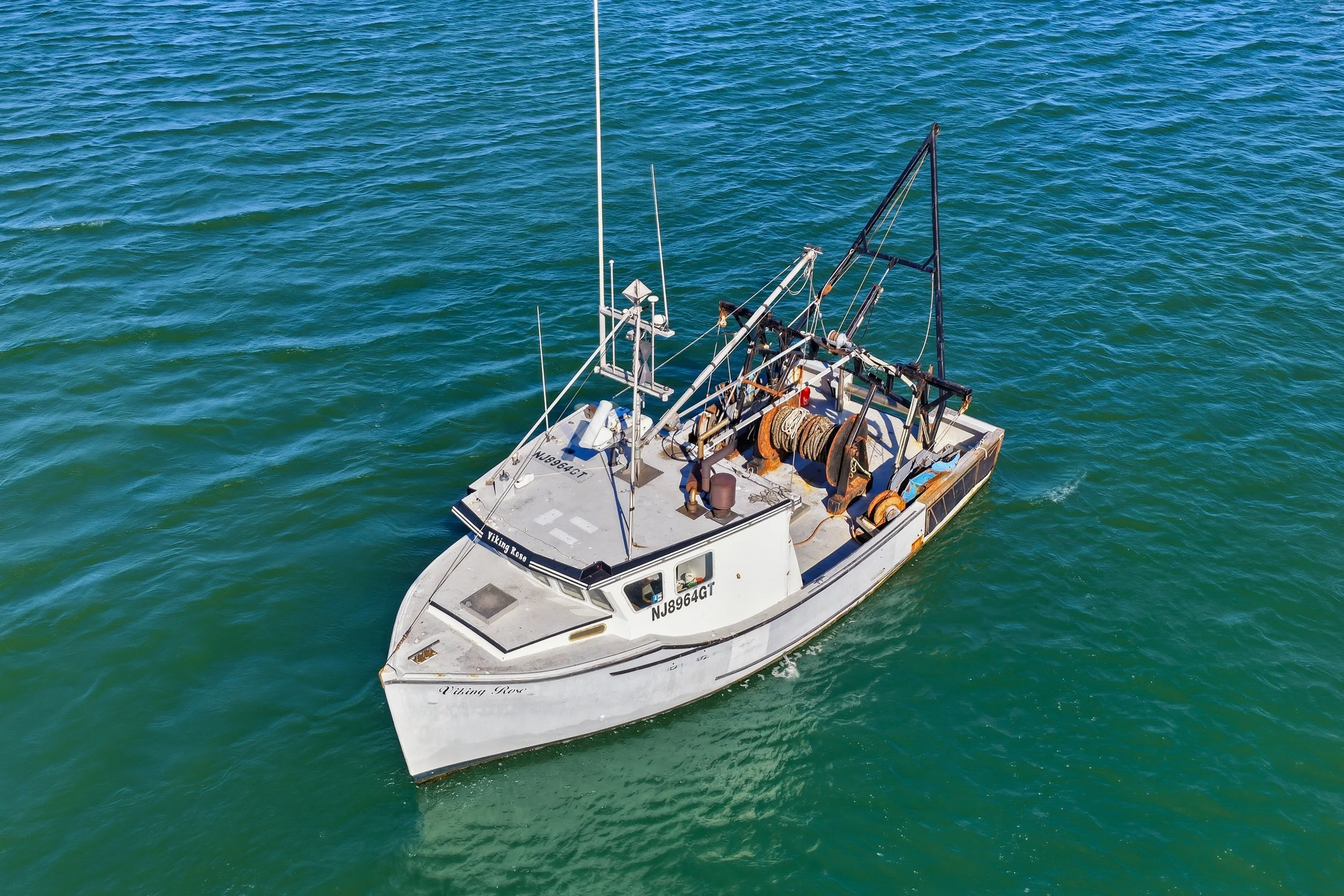 FV-Viking-Rose-19.jpg