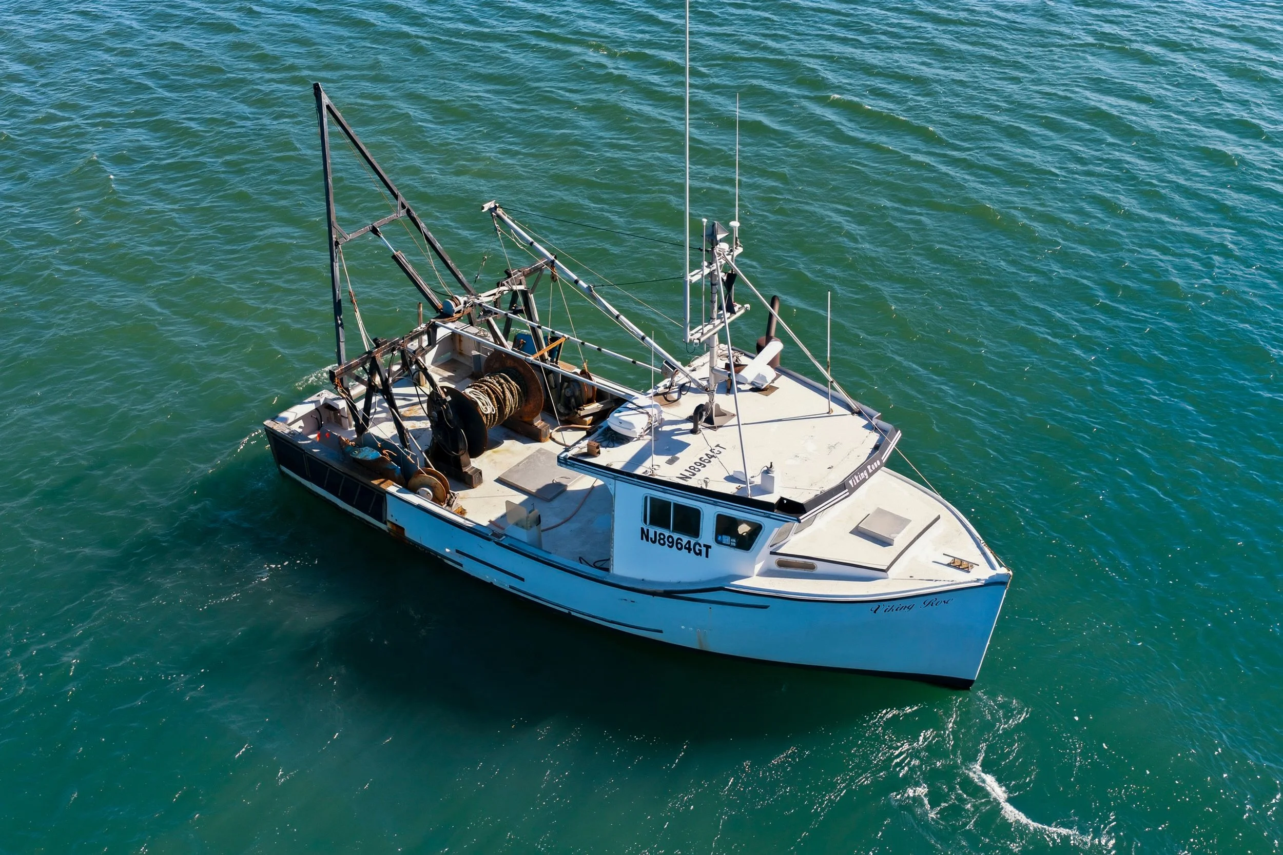 FV-Viking-Rose-20.jpg