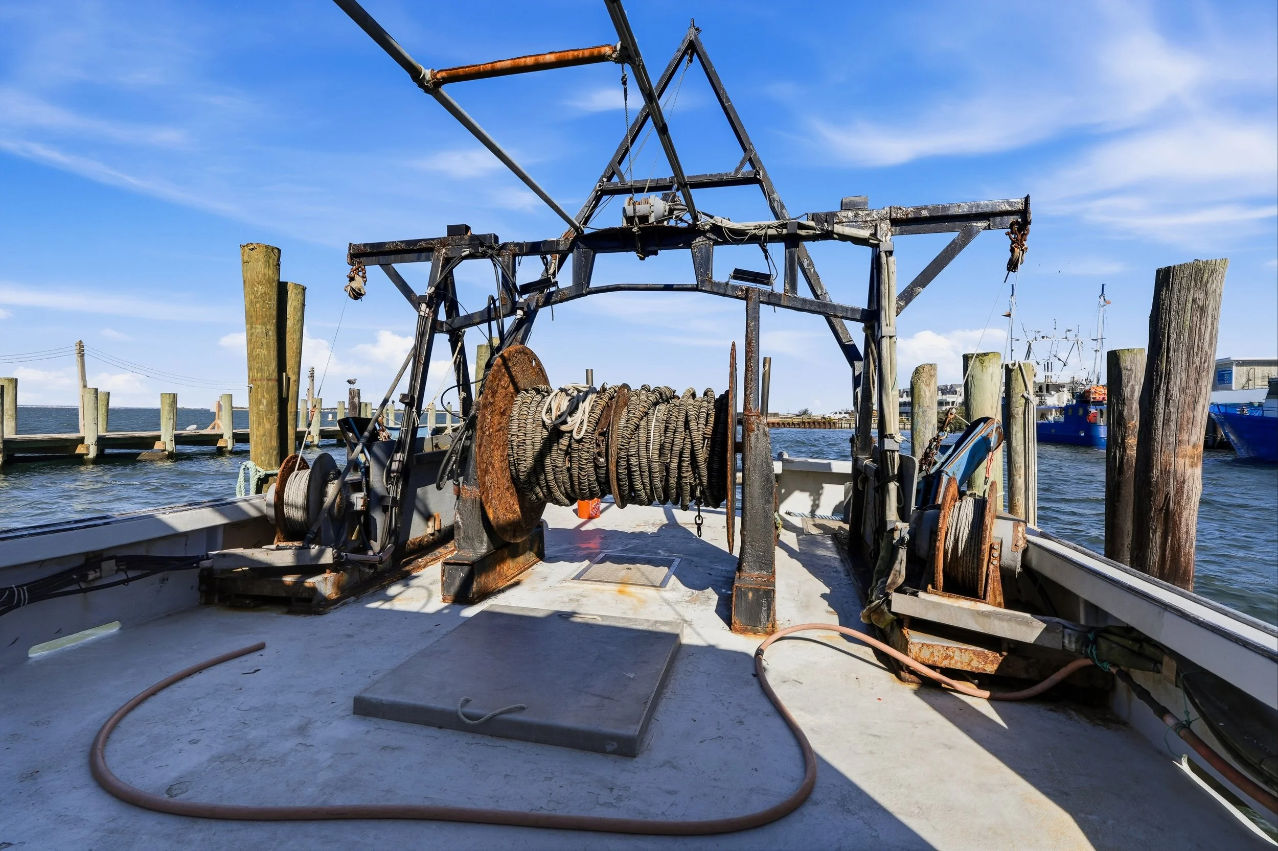 FV-Viking-Rose-22.jpg